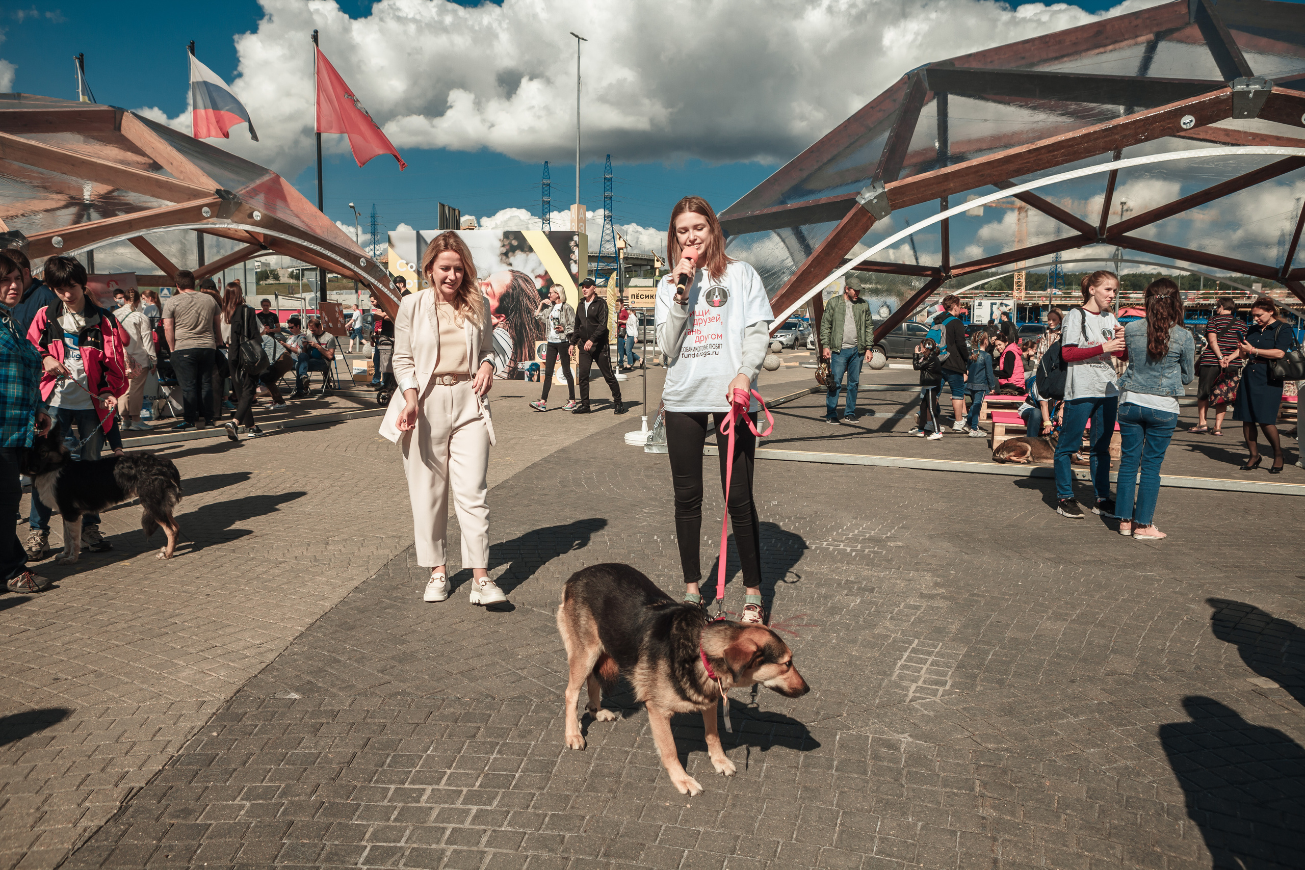 Собаки, которые любят. Фотограф Николь Фолиянц