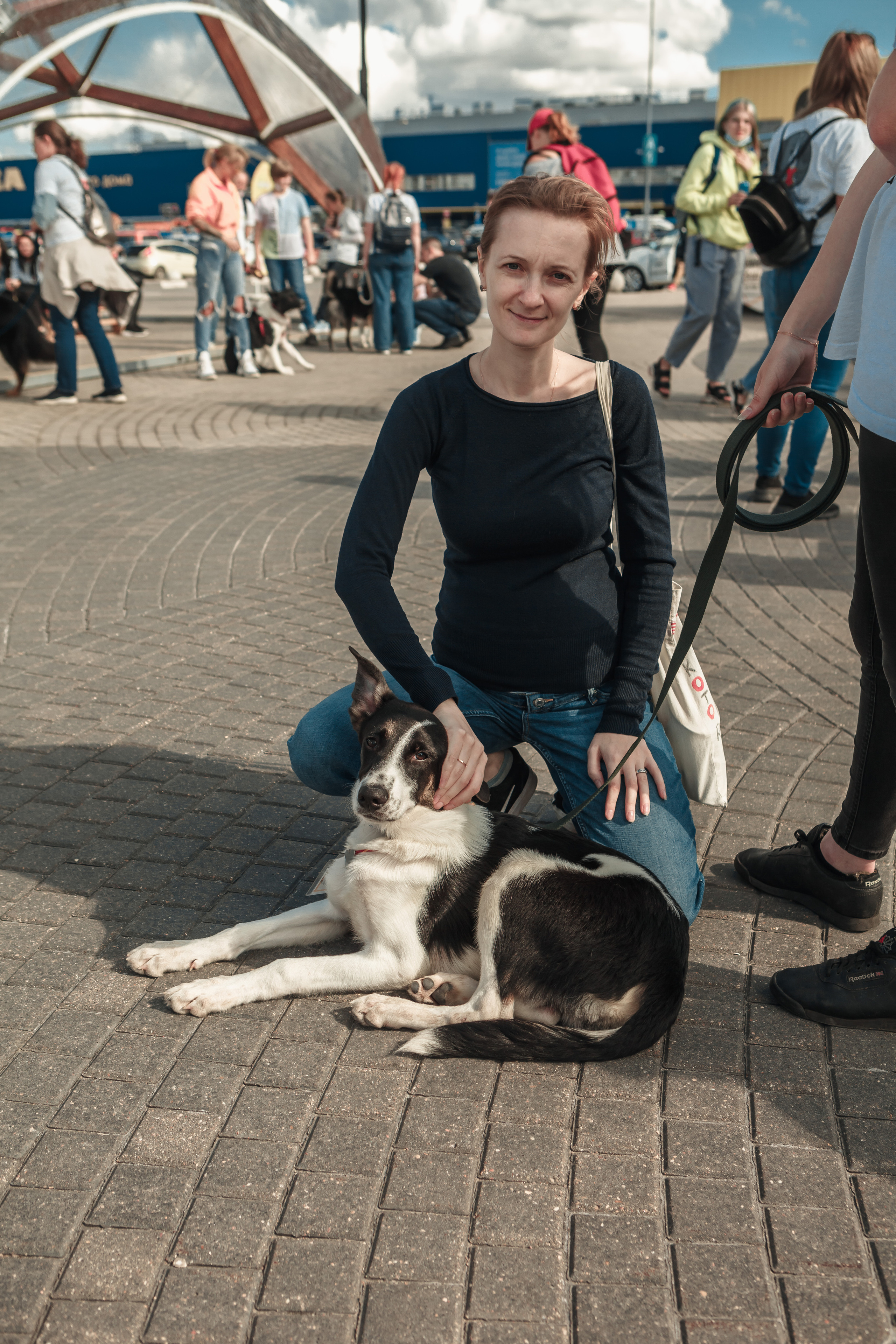 Собаки, которые любят. Фотограф Николь Фолиянц