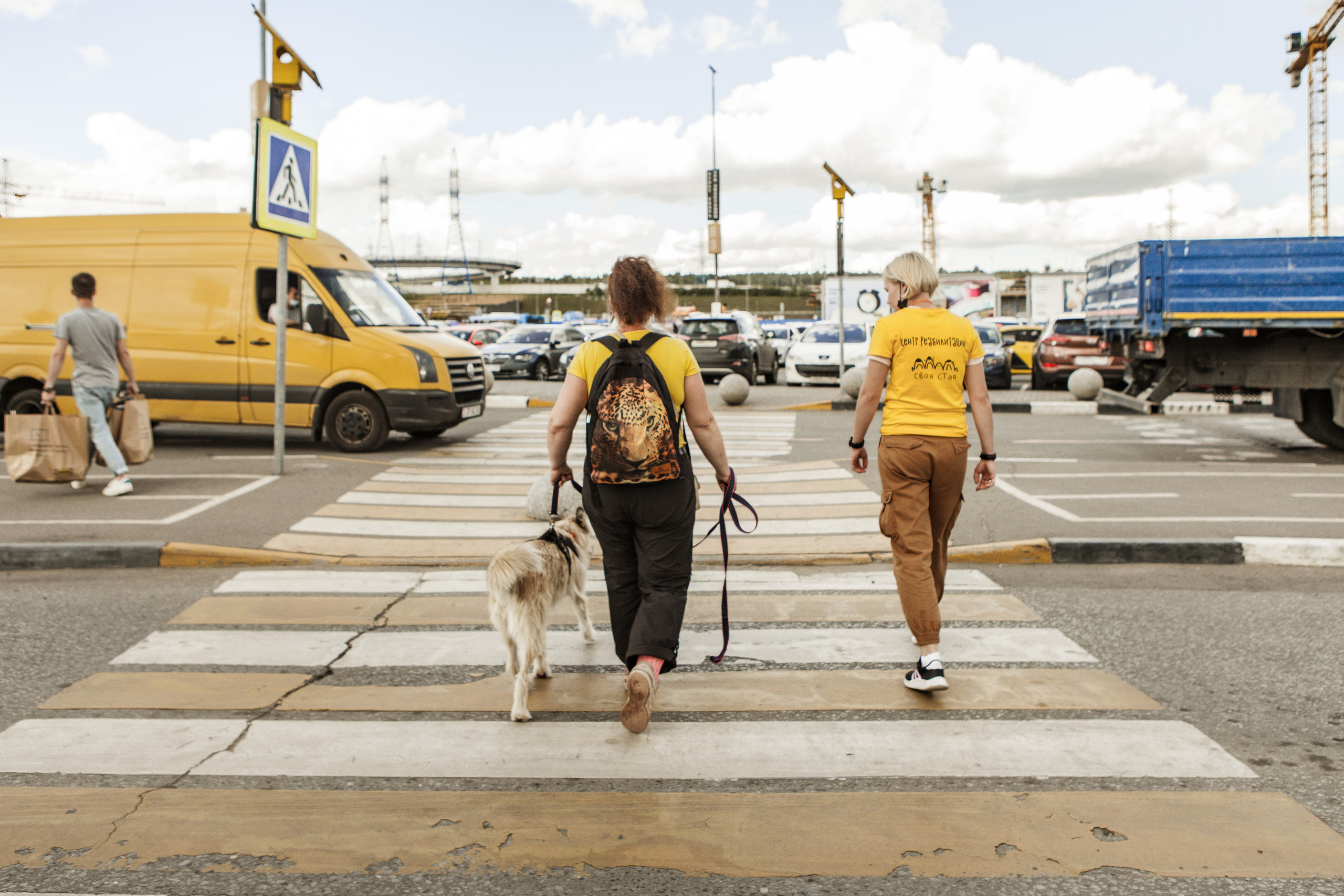 Собаки, которые любят. Фотограф Николь Фолиянц