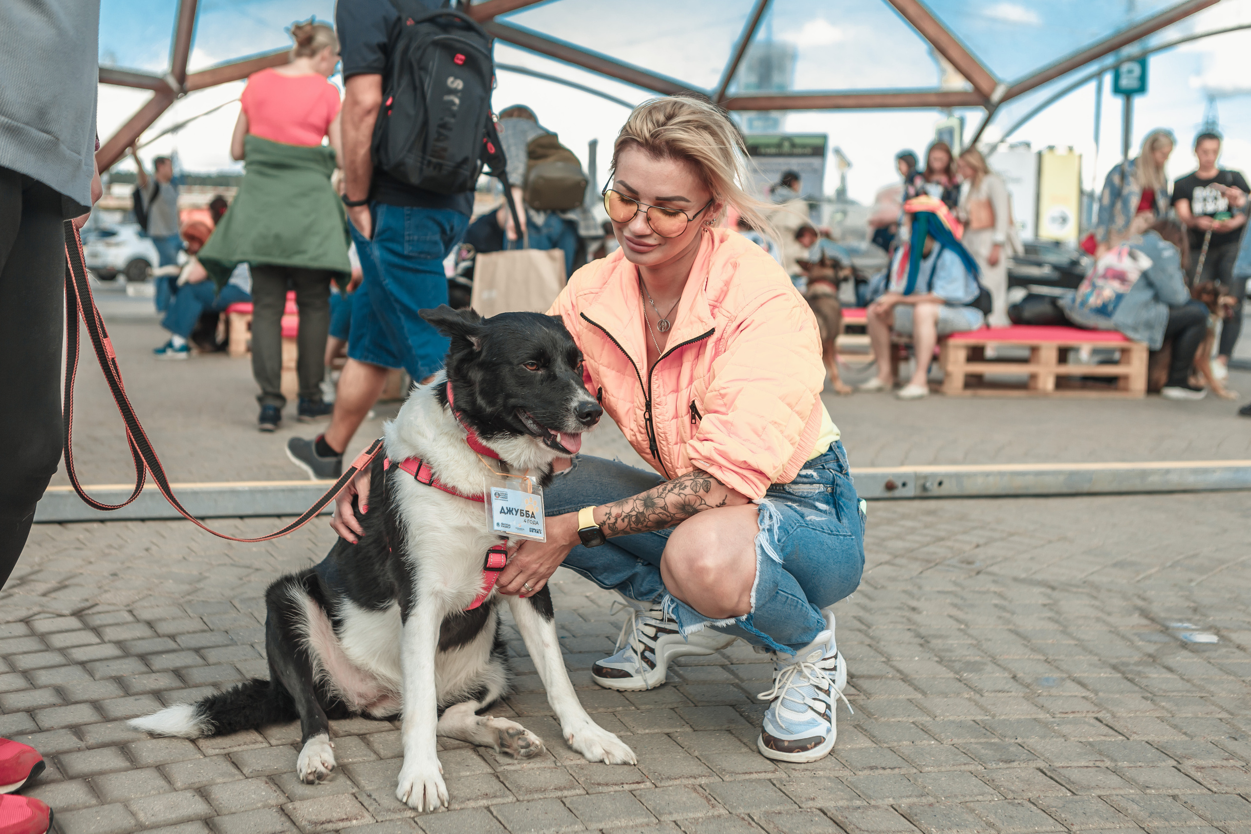 Собаки, которые любят. Фотограф Николь Фолиянц