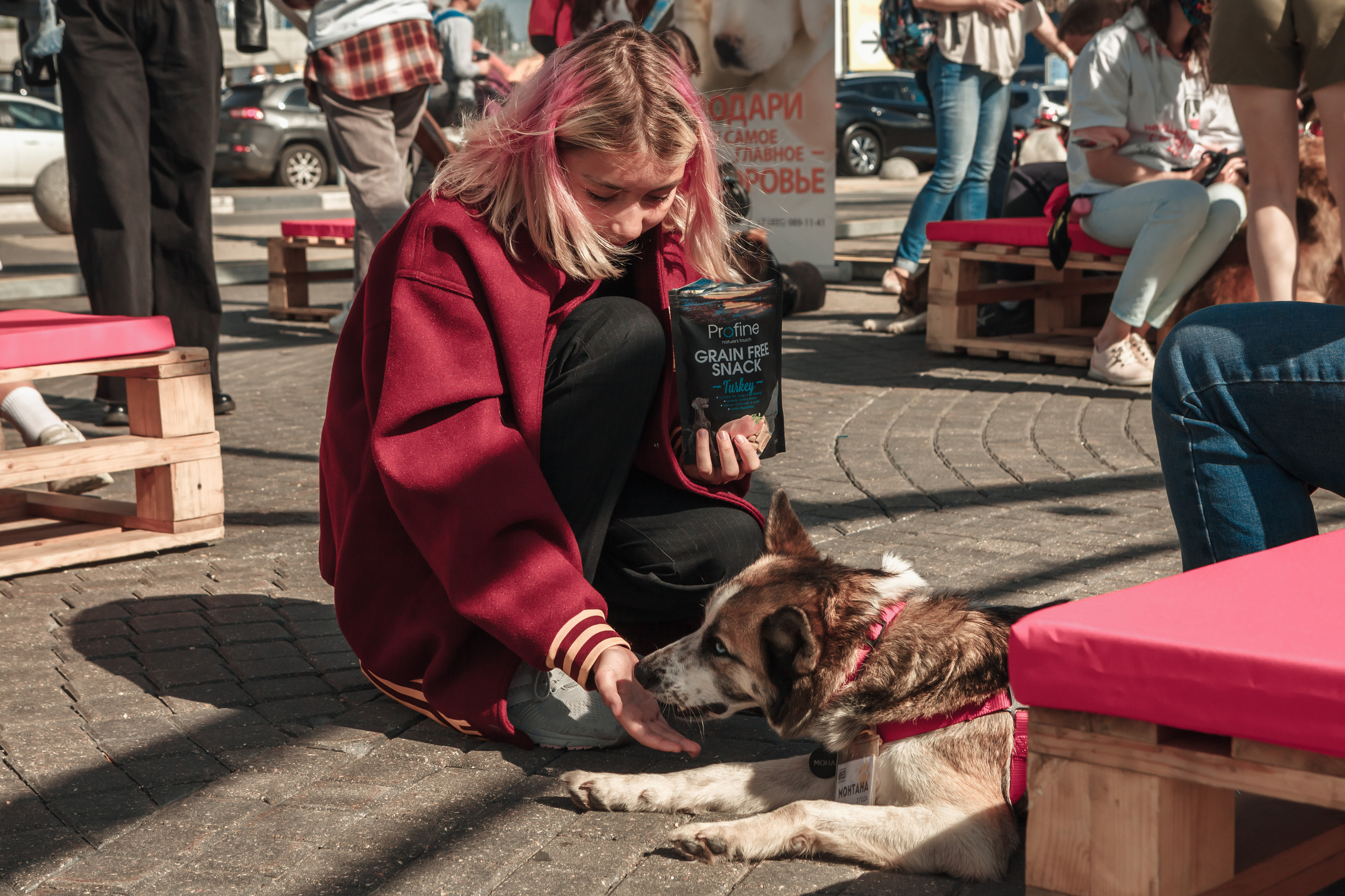Собаки, которые любят. Фотограф Николь Фолиянц