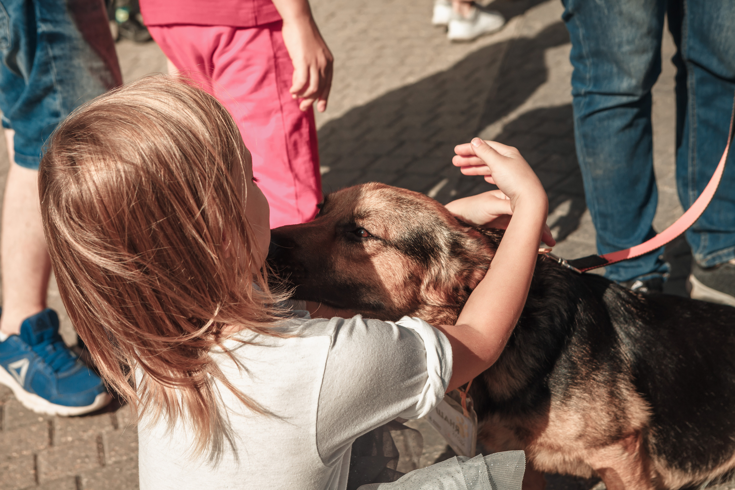 Собаки, которые любят. Фотограф Николь Фолиянц