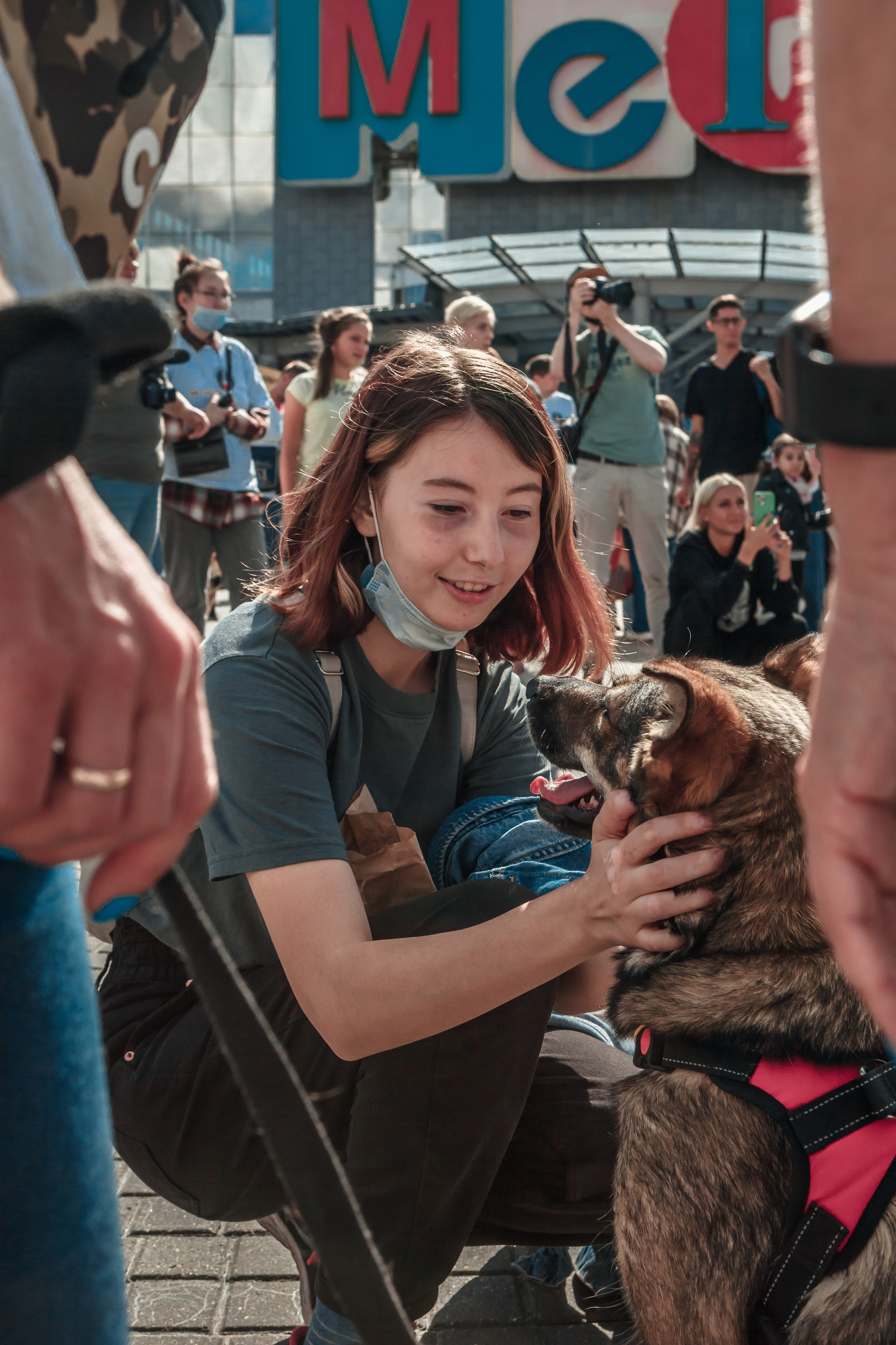 Собаки, которые любят. Фотограф Николь Фолиянц