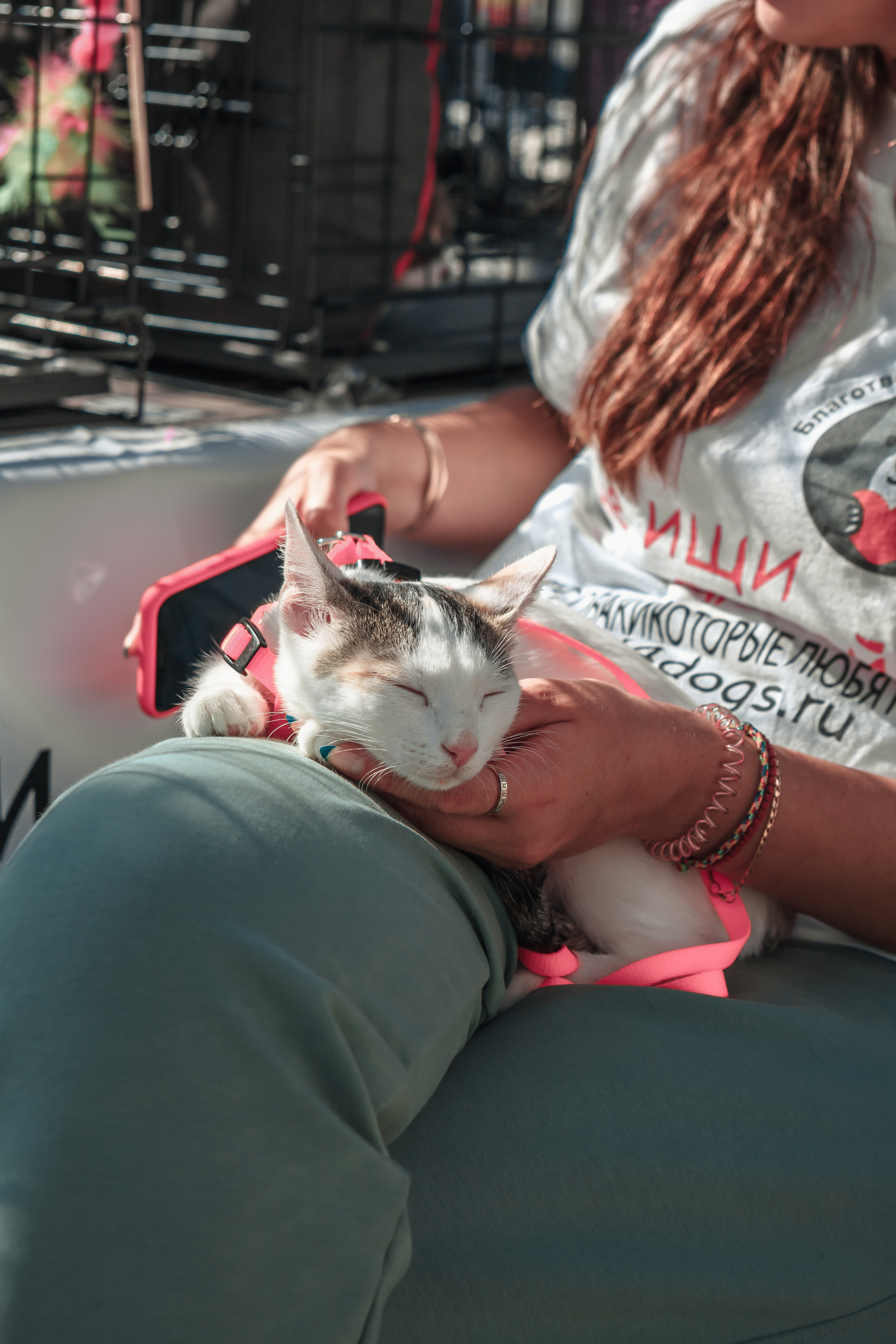 Собаки, которые любят. Фотограф Николь Фолиянц