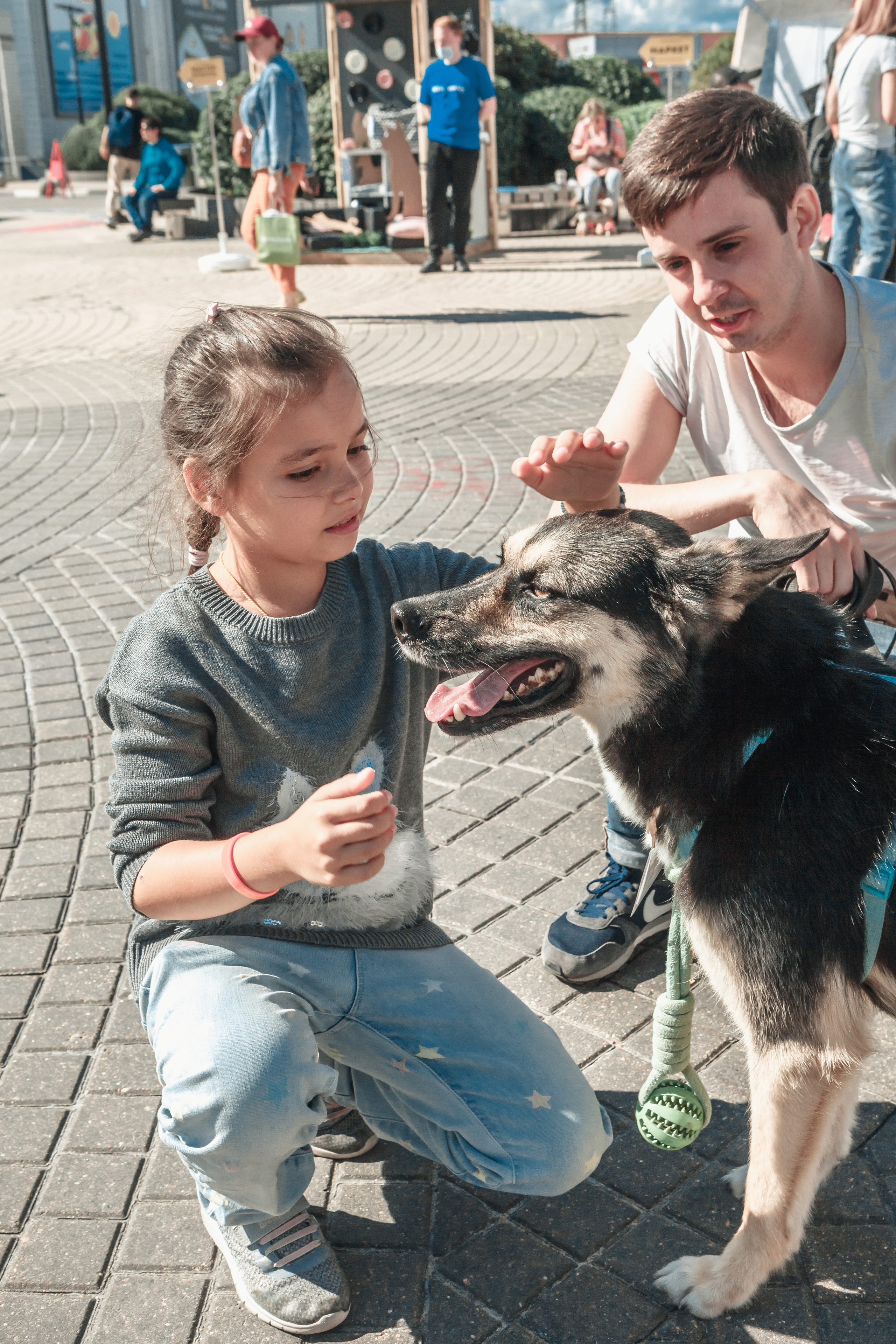 Собаки, которые любят. Фотограф Николь Фолиянц