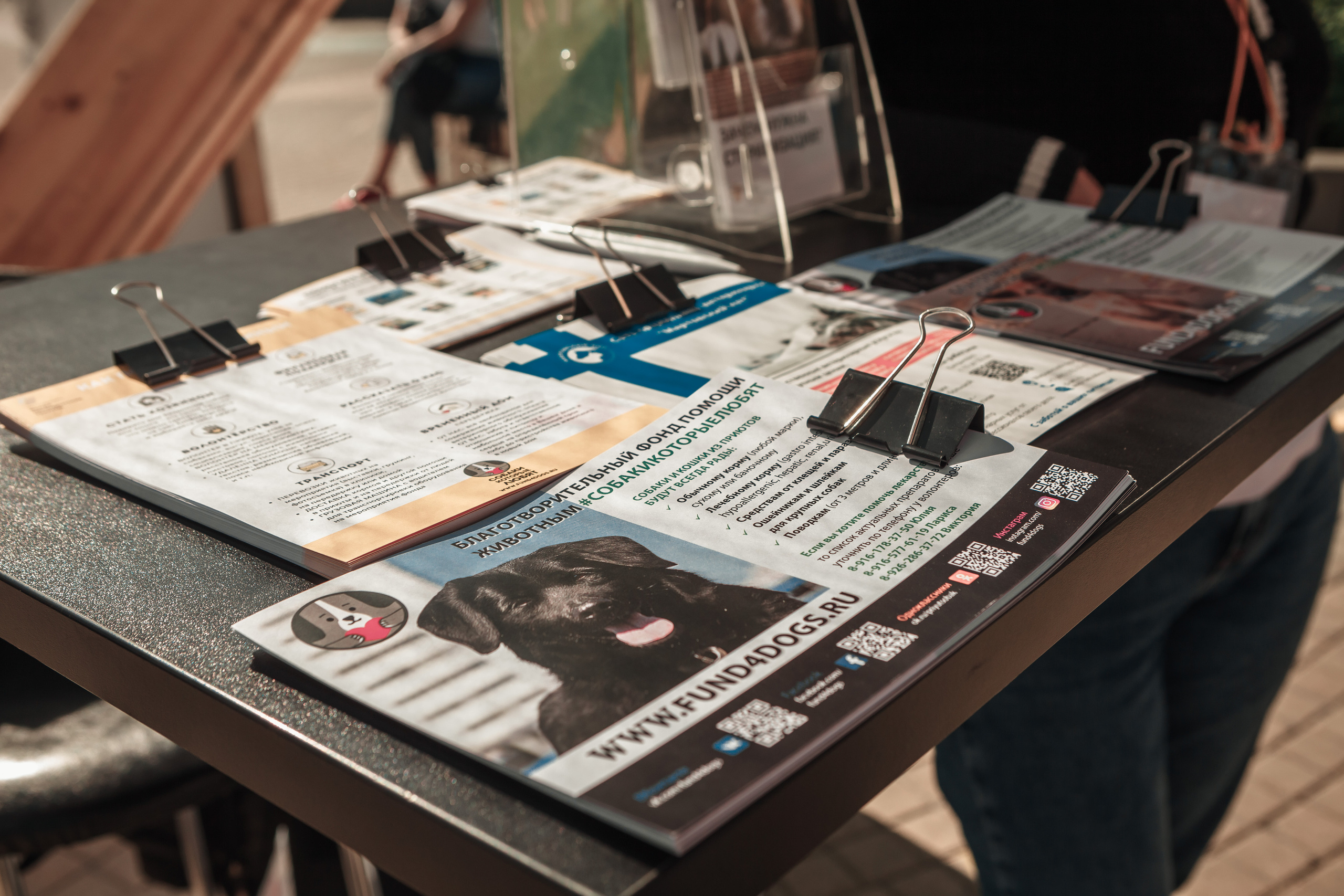 Собаки, которые любят. Фотограф Николь Фолиянц