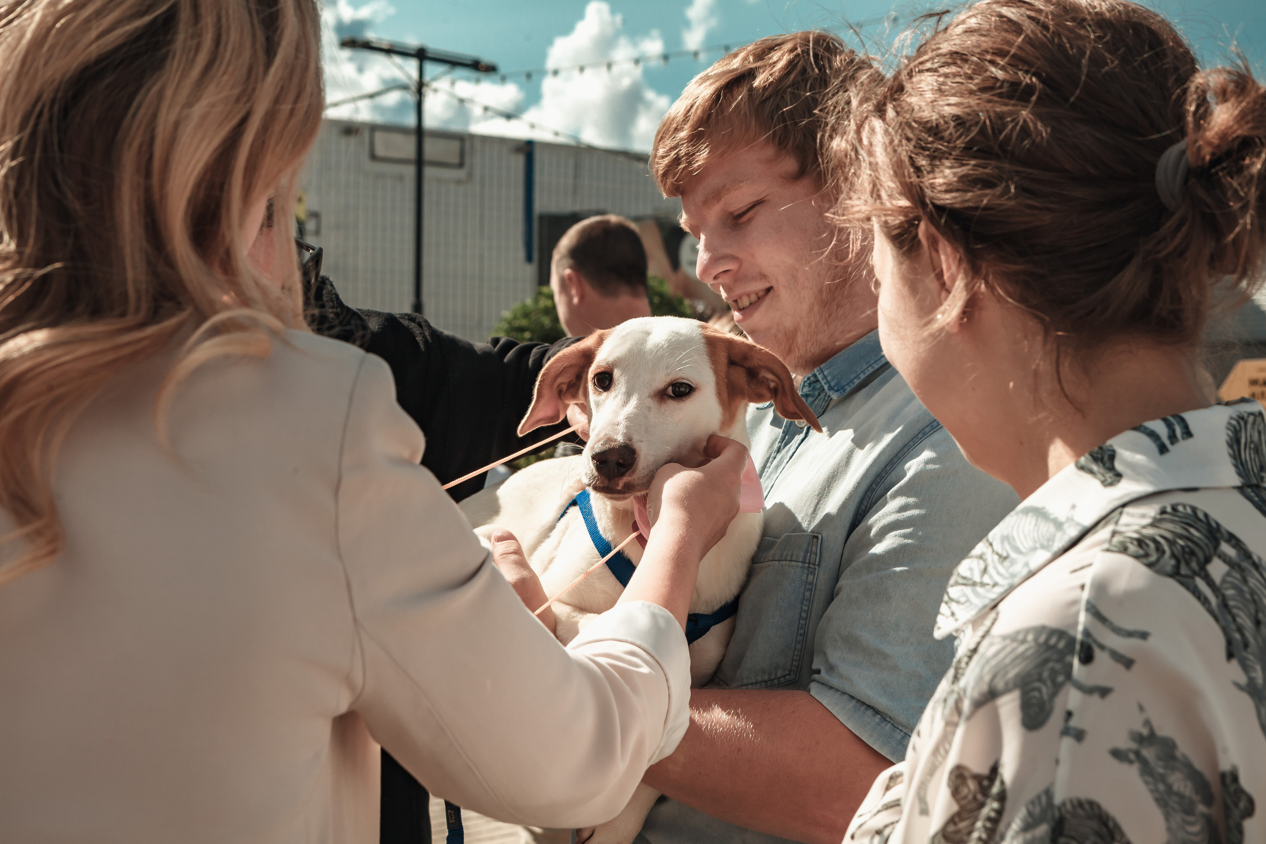 Собаки, которые любят. Фотограф Николь Фолиянц