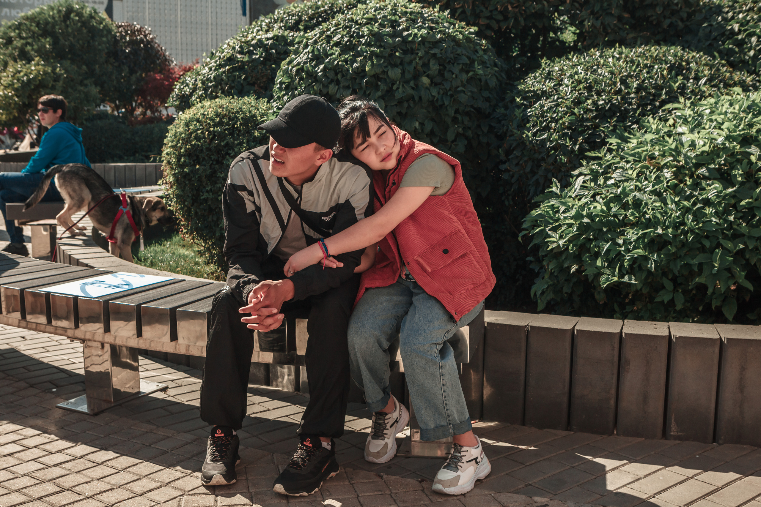 Собаки, которые любят. Фотограф Николь Фолиянц