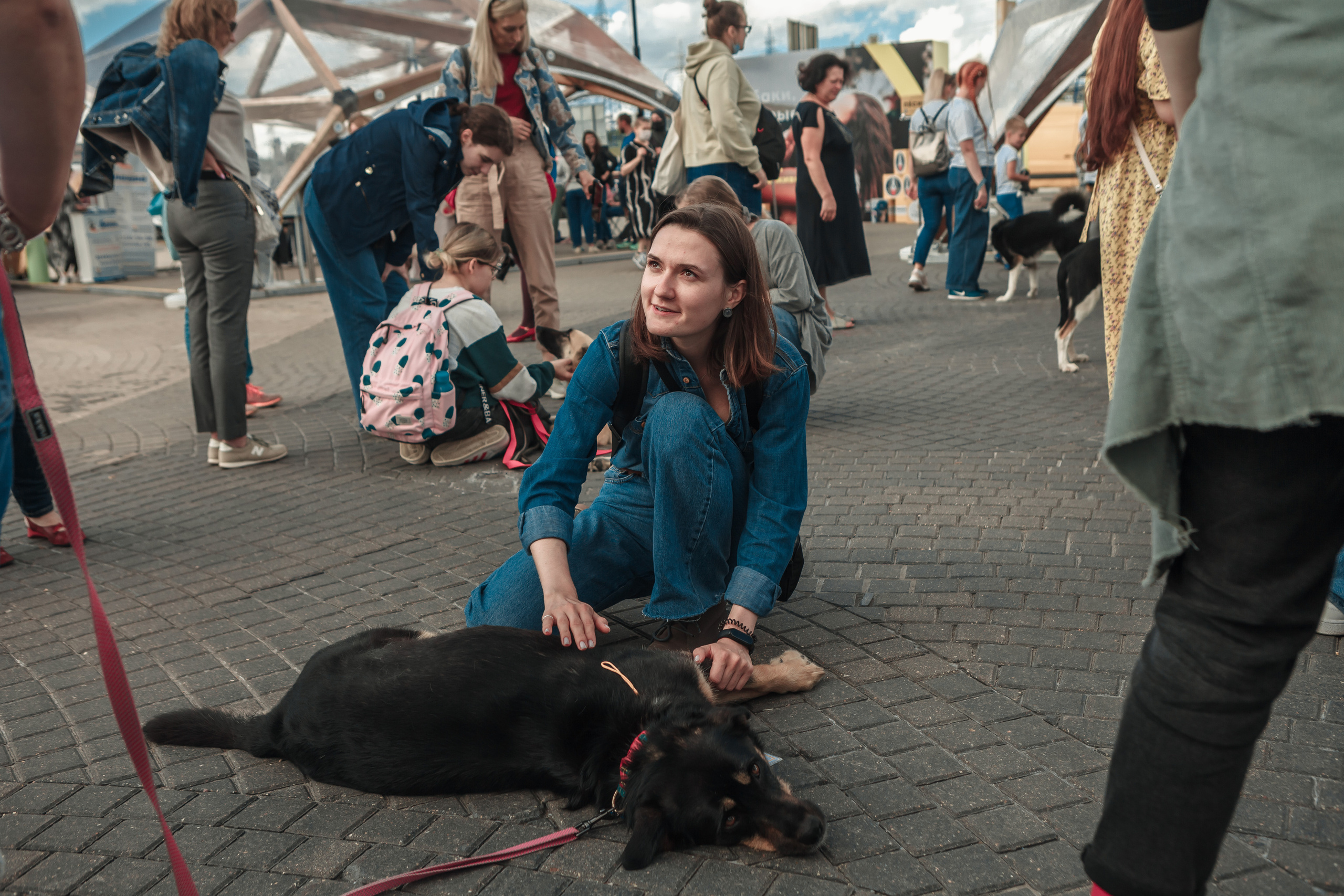 Собаки, которые любят. Фотограф Николь Фолиянц