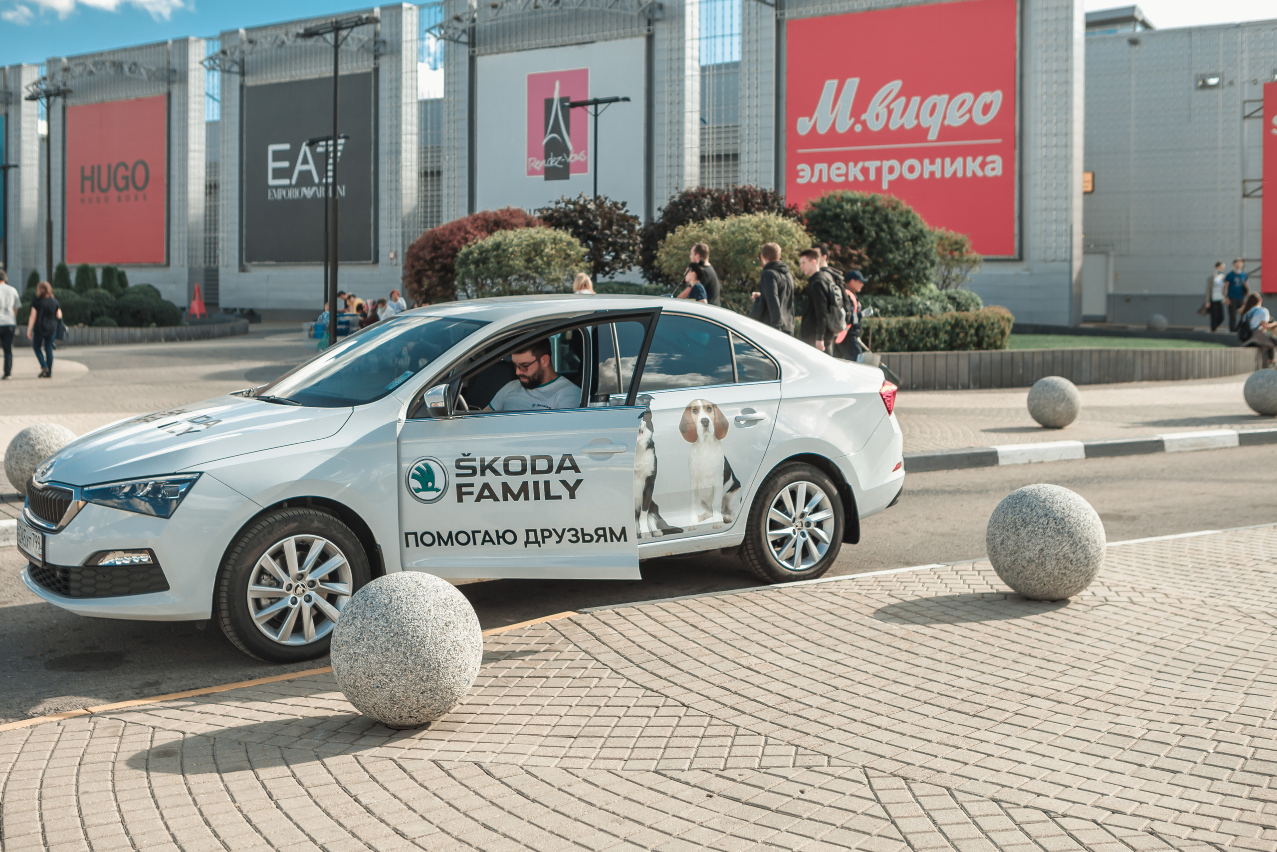 Собаки, которые любят. Фотограф Николь Фолиянц