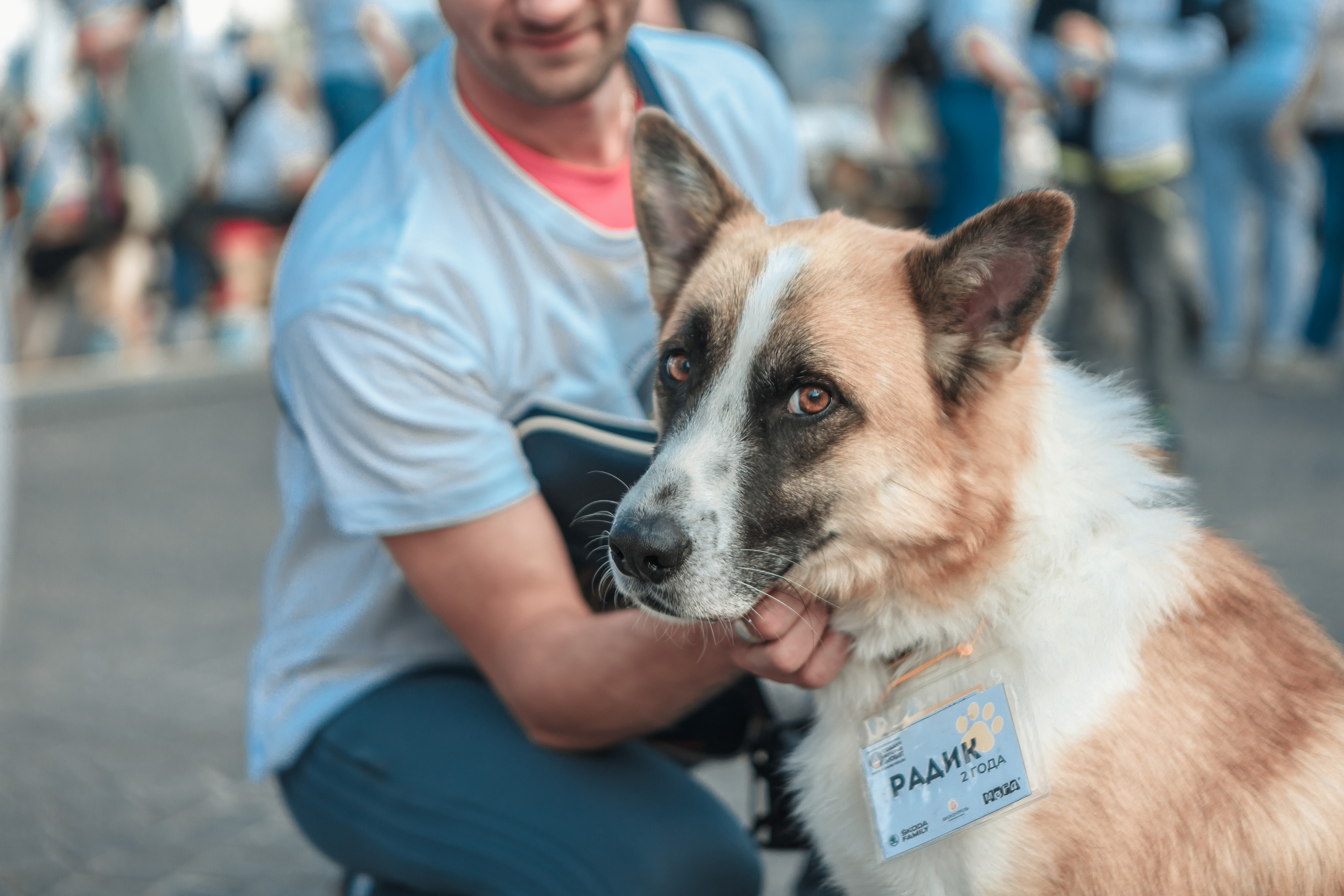Собаки, которые любят. Фотограф Николь Фолиянц