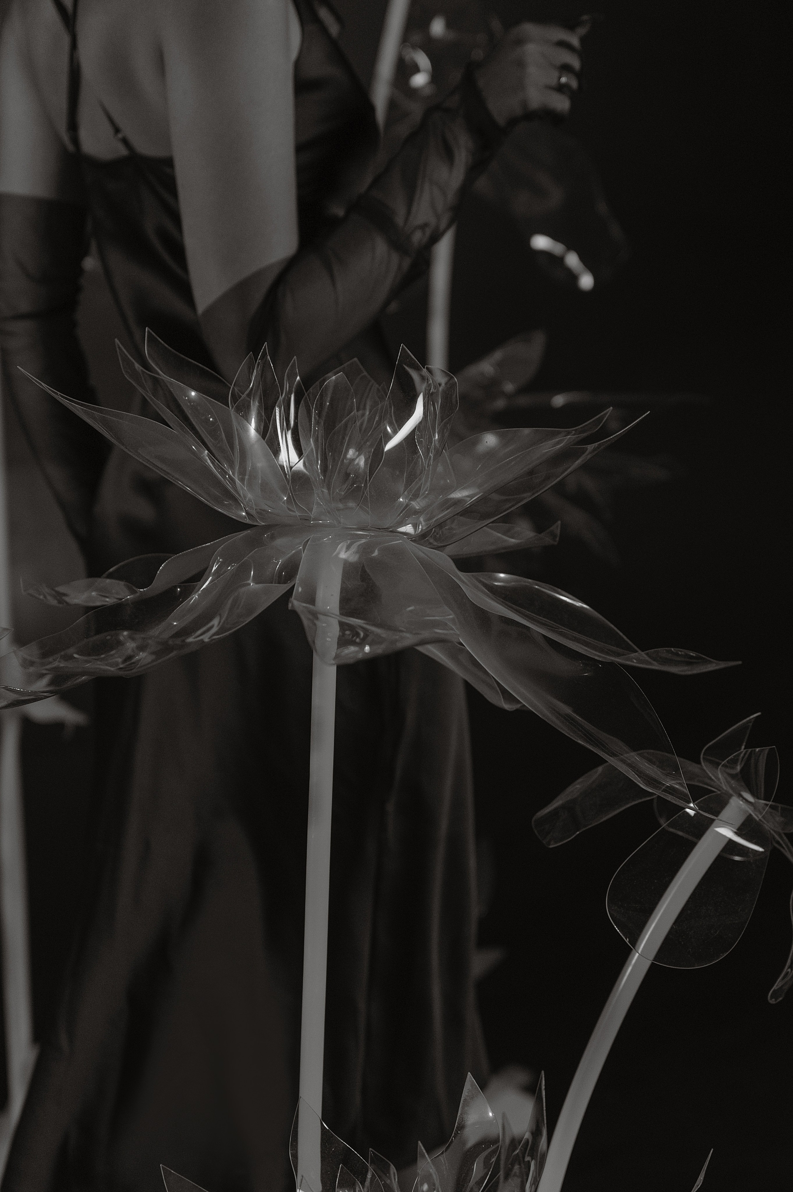 Паша и Ангелина. Свадебный фотограф и видеограф