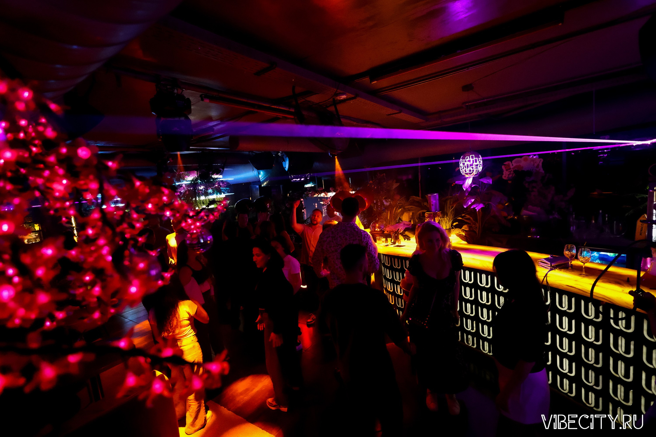 DOUBLE U. VIBECITY.RU Вайб Сити Ру Фоторепортажи Фотоотчеты Калининград