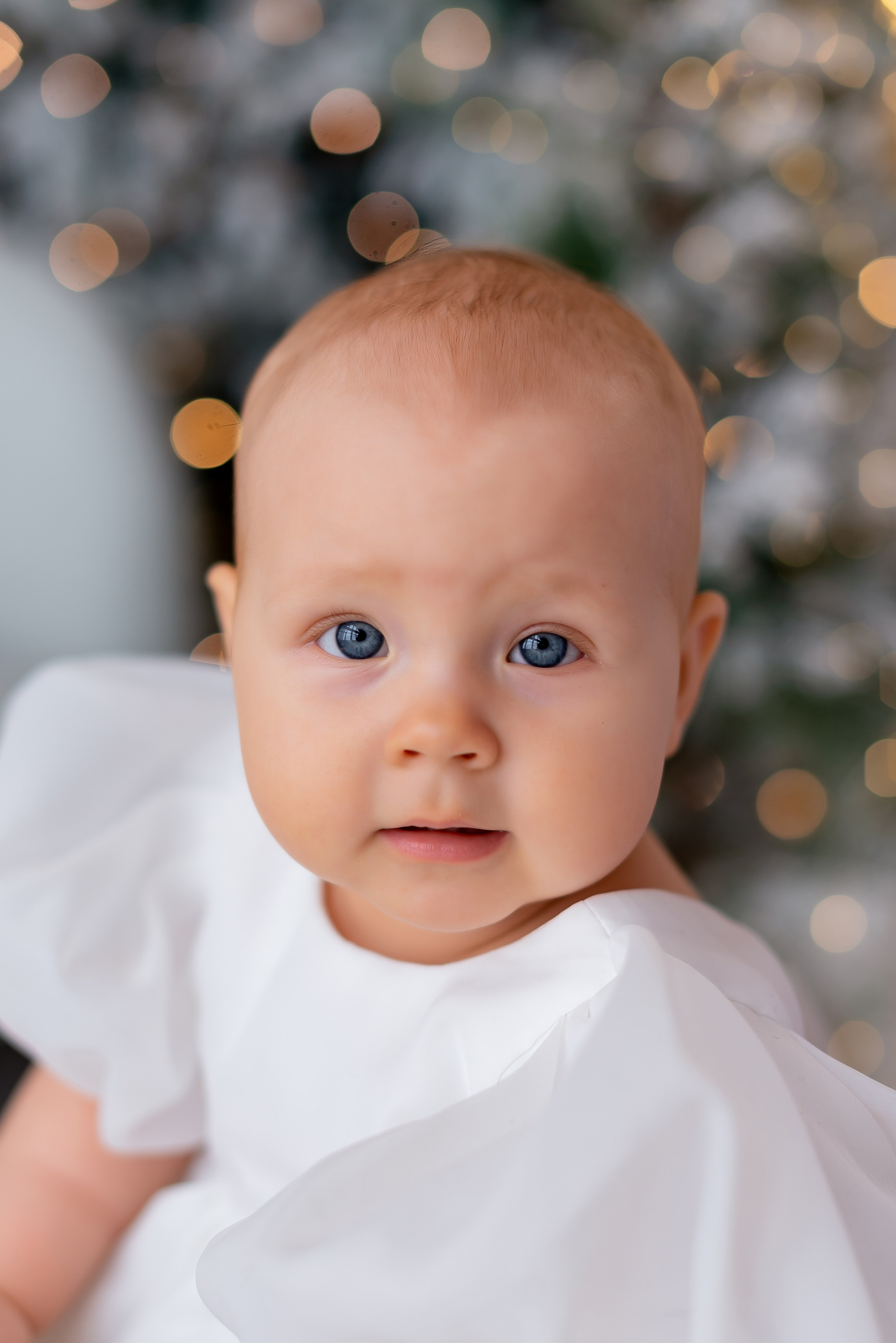 Новогодняя студия Скандибек. Фотограф Татьяна Иванчикова