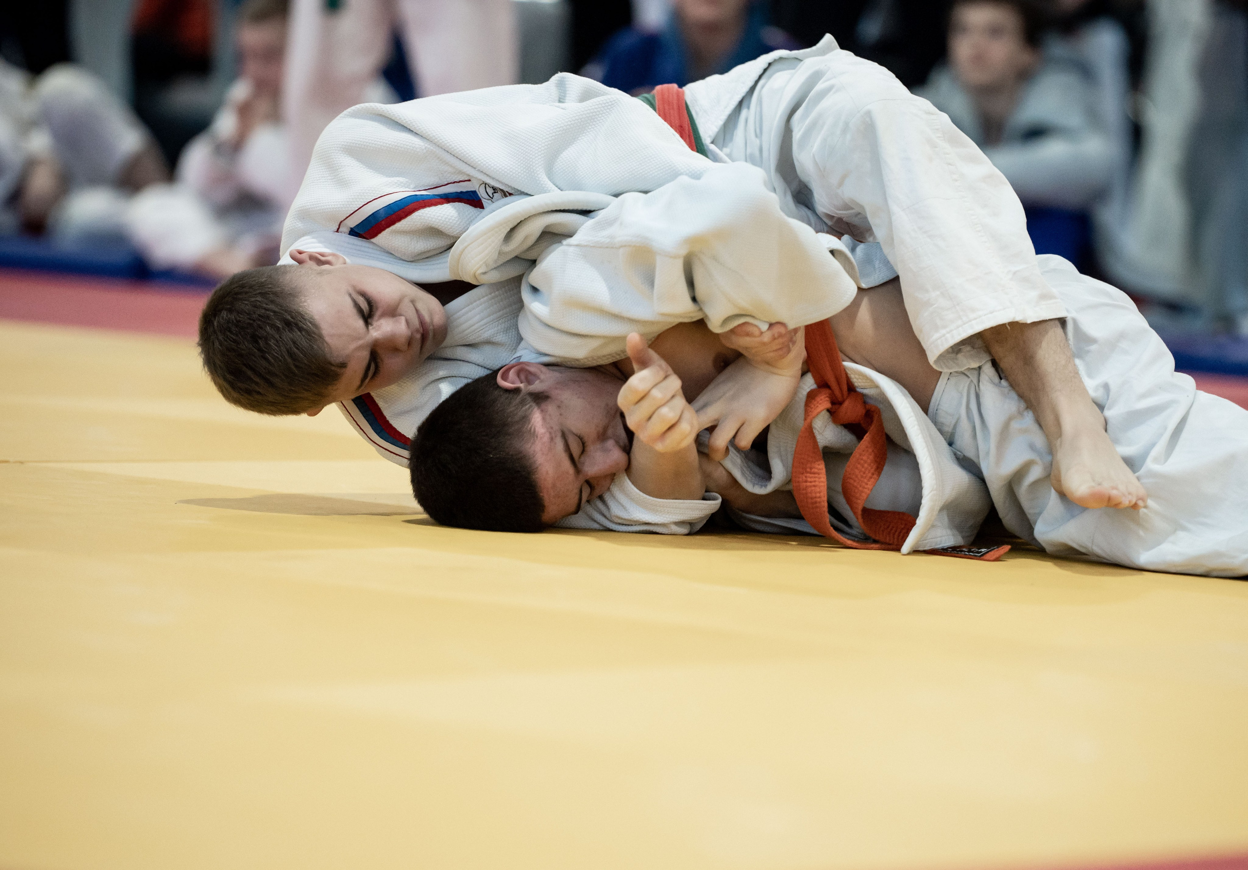 Турнир по дзюдо, ск «Тульский Левша» январь 2024. Спортивный фотограф в Туле и Тульской области. Файсханова Фото Спорт