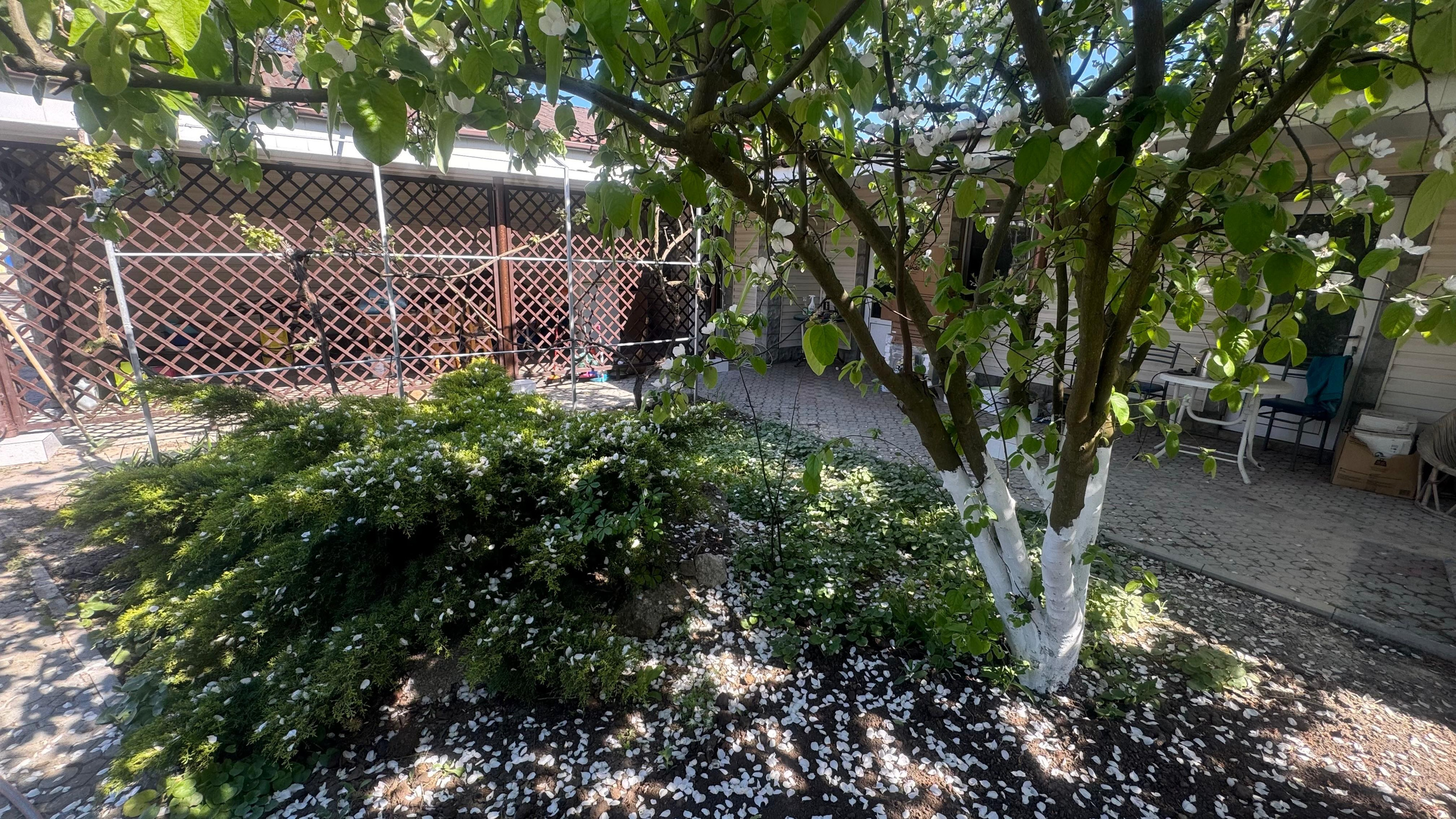 Наша территория. Гостевой дом «Райский уголок»