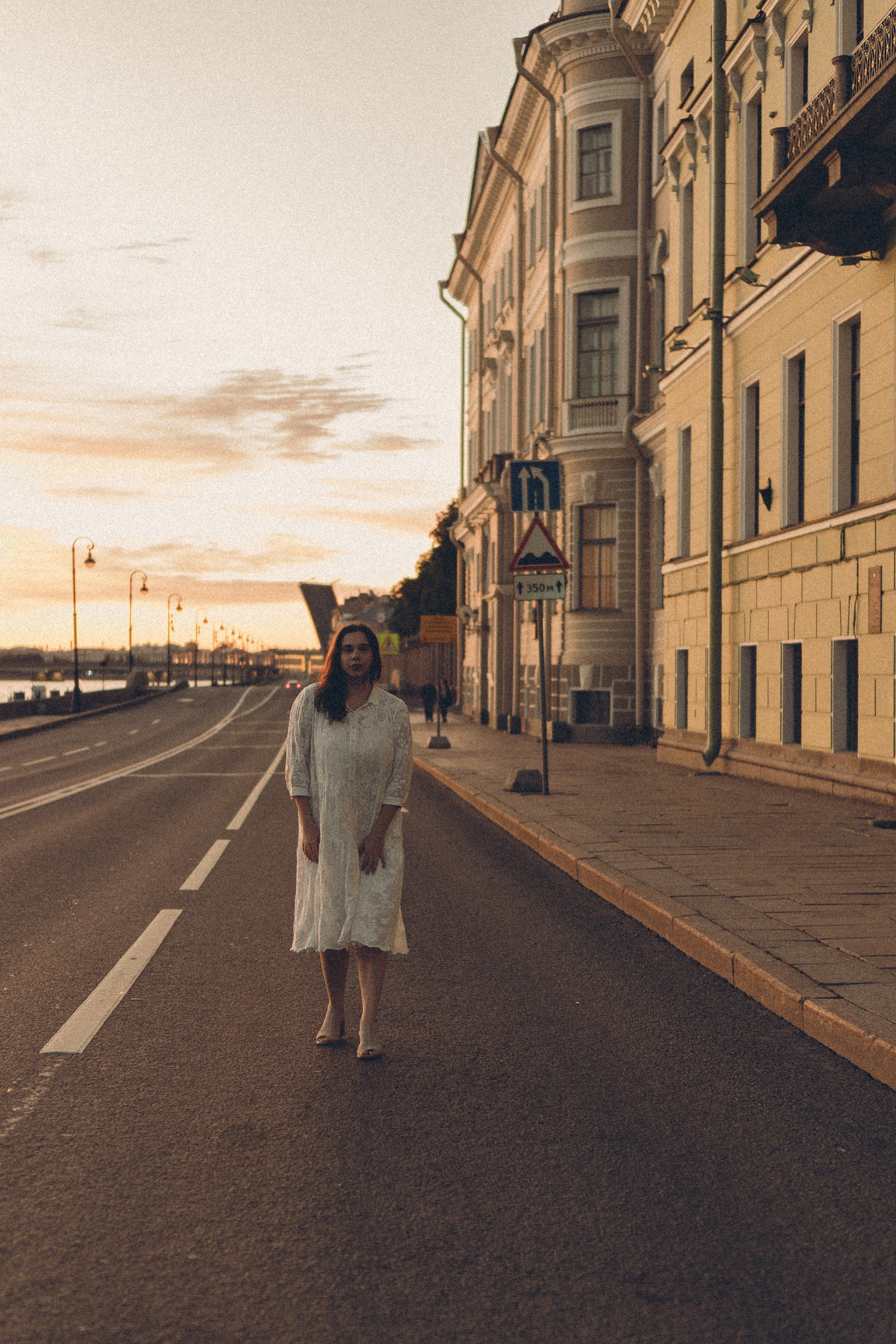 РАССВЕТ С РАЗВОДНЫМИ МОСТАМИ. Профессиональный фотограф, Санкт-Петербург — Виктория Богомолова