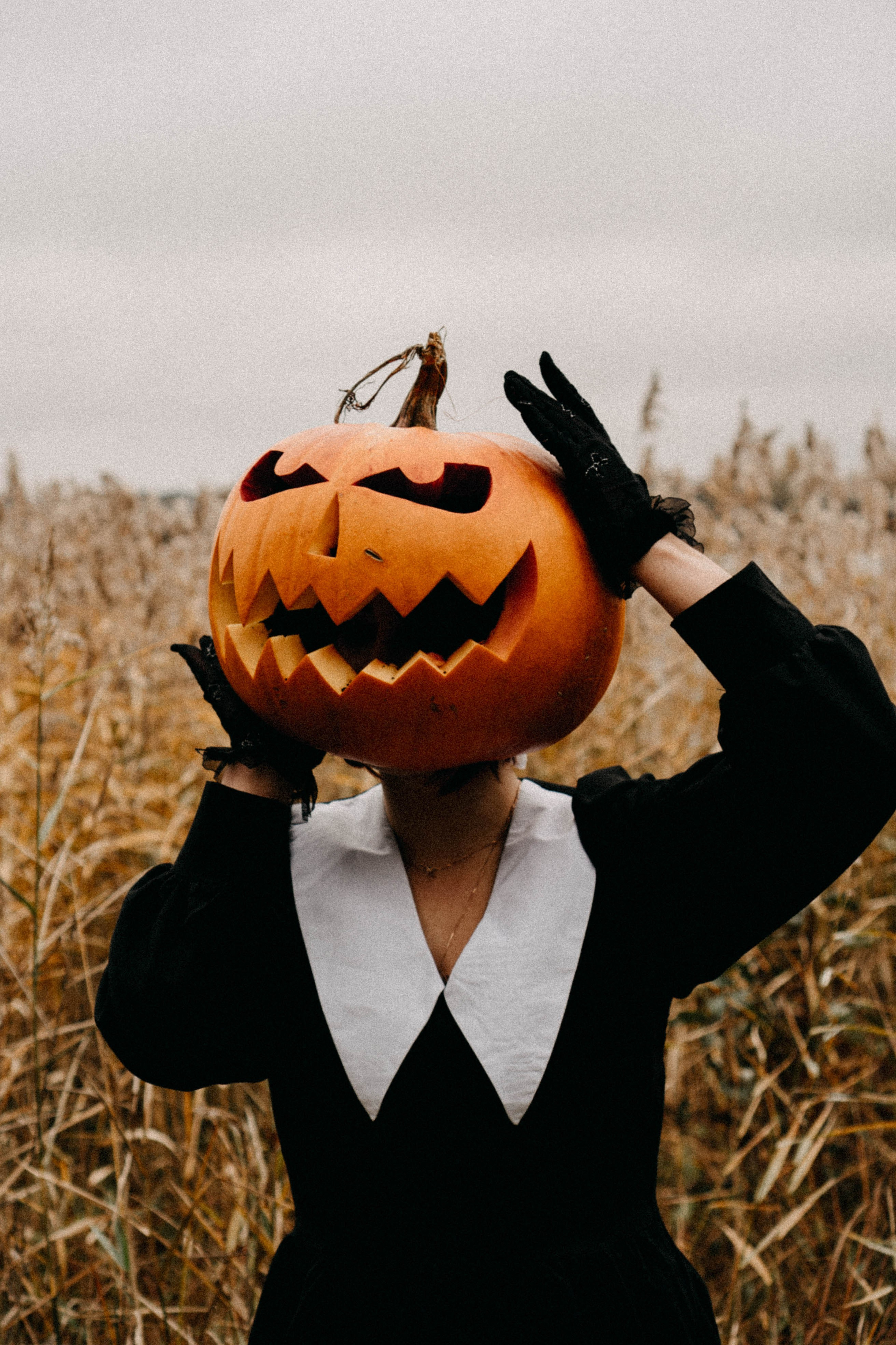 Осеняя. Профессиональный фотограф, Санкт-Петербург — Виктория Богомолова
