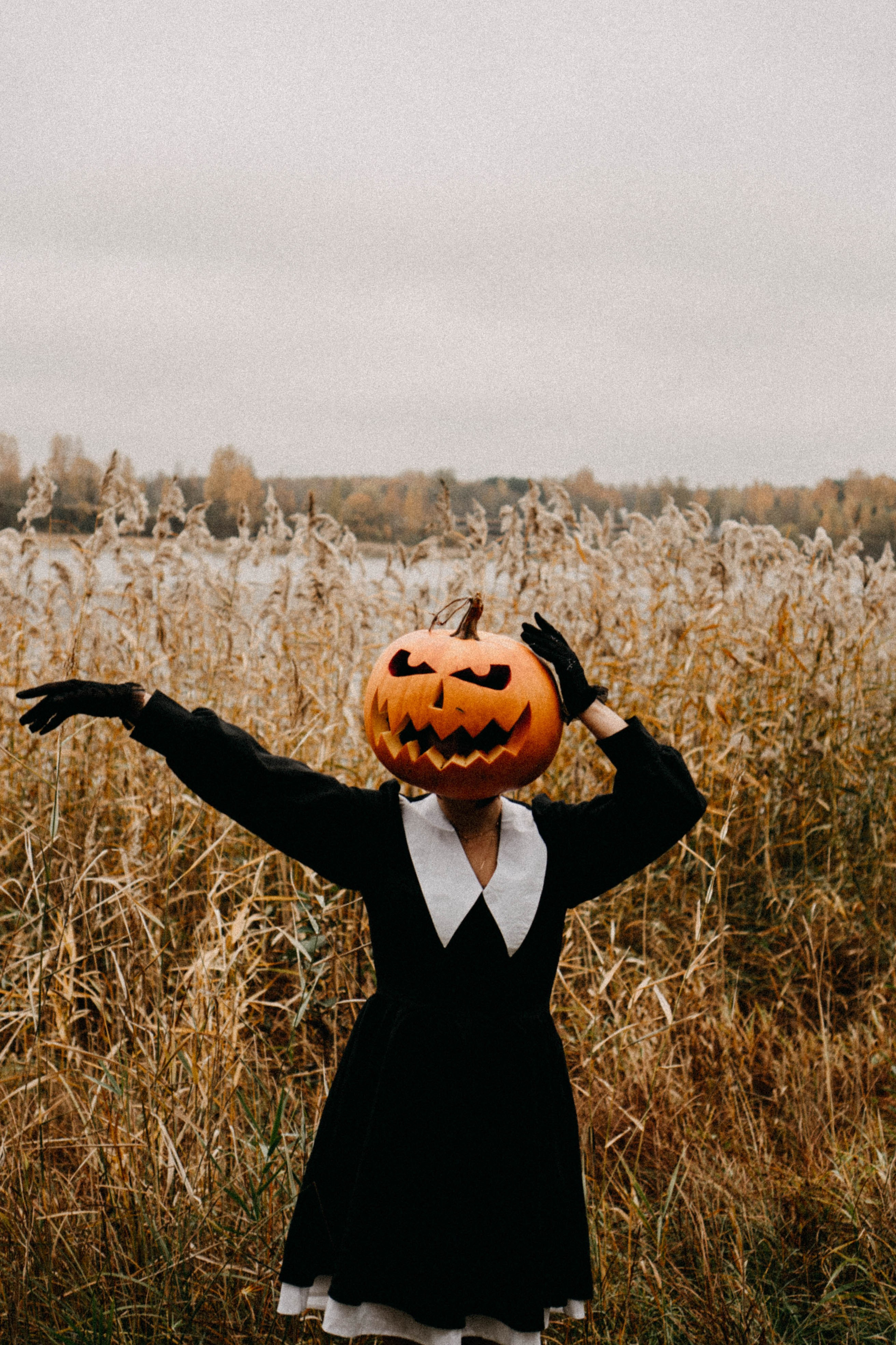 Осеняя. Профессиональный фотограф, Санкт-Петербург — Виктория Богомолова