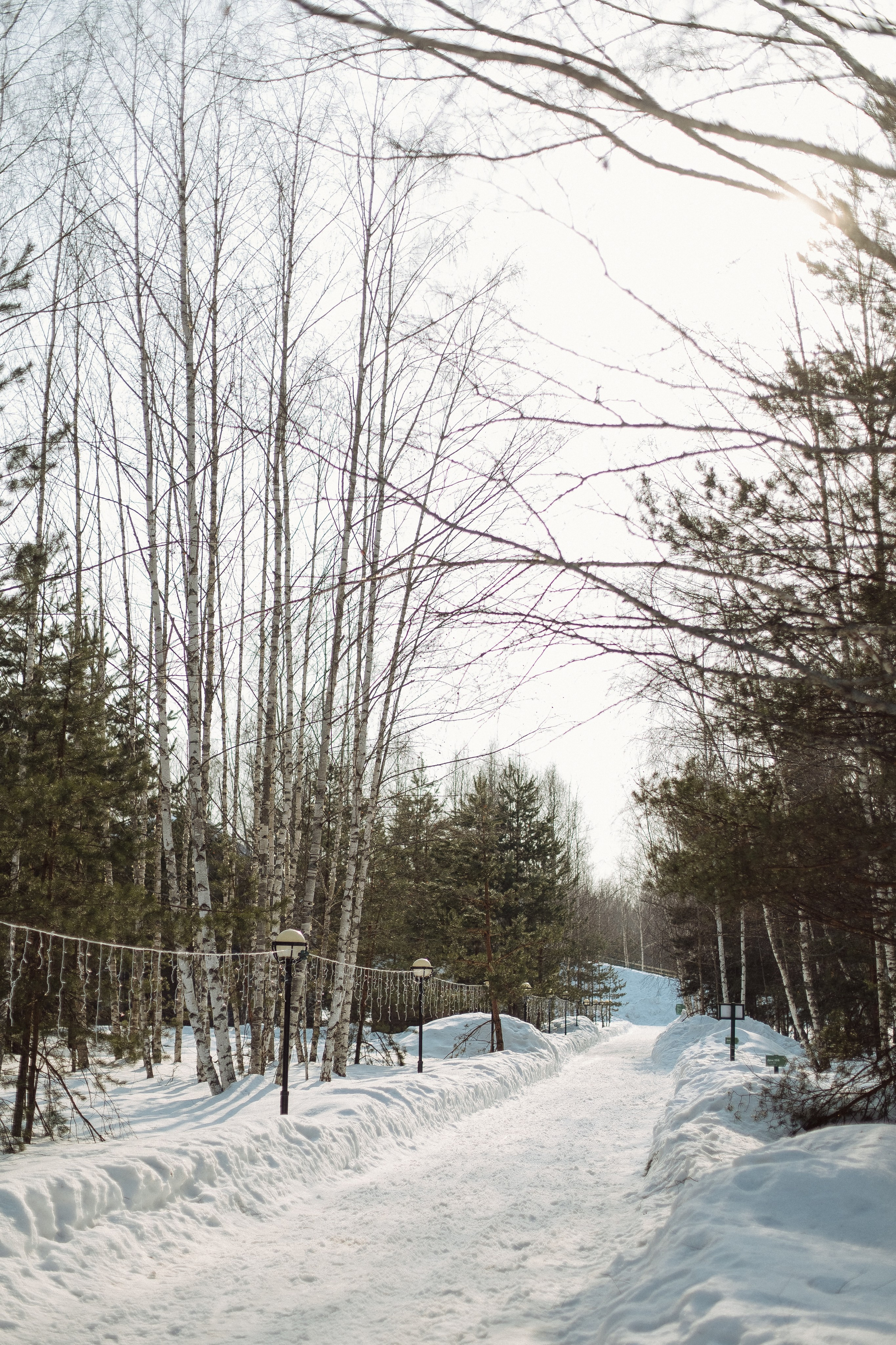 Экопарк ПОЛЯНЫ. Главная