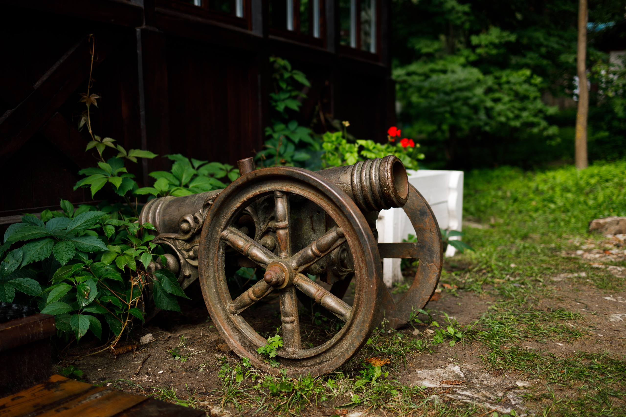 Поленово. Свадебный и семейный фотограф в Туле и области Маша Костина