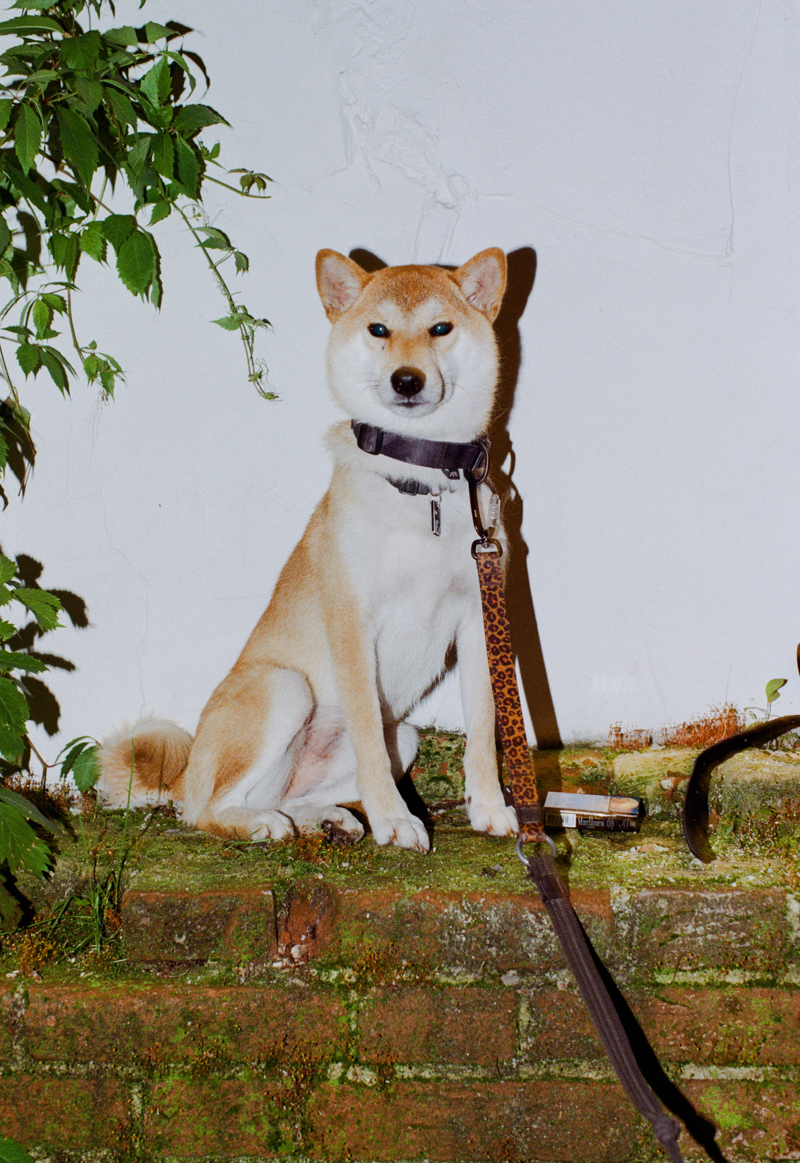 Party like a Moscow. Портретный и ивент-фотограф в Москве