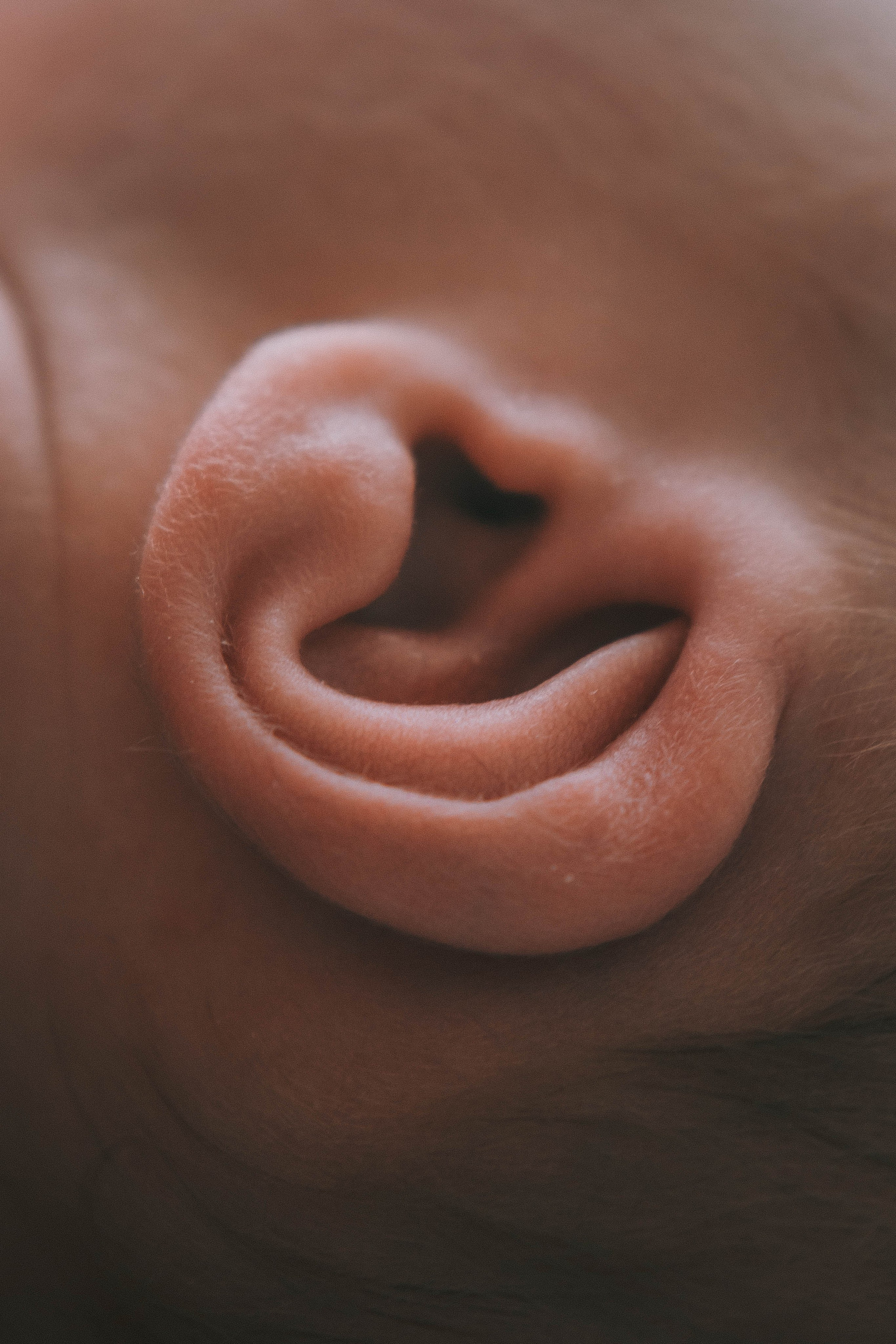 Доминик. NewBorn. Фотограф СЕМЬИ и ДЕТСТВА в Краснодаре и Краснодарском крае Екатерина Москат