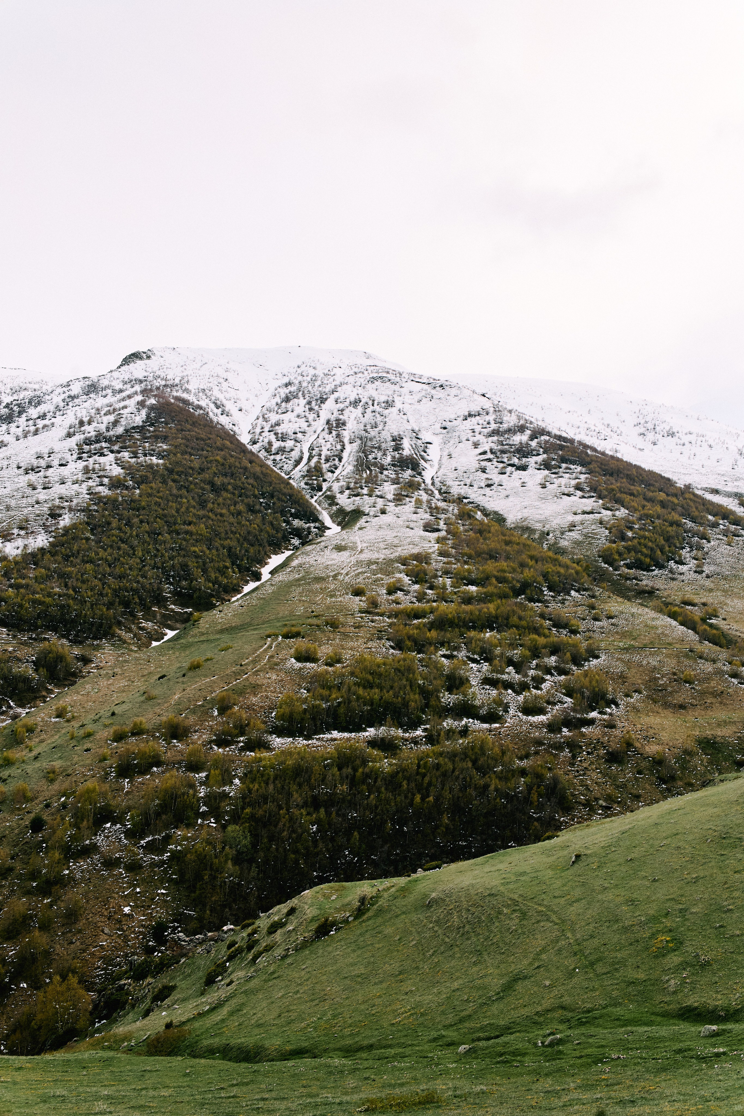 Грузия. Профессиональный Фотограф во Владимире, в Москве и в Суздале — Полина Романычева