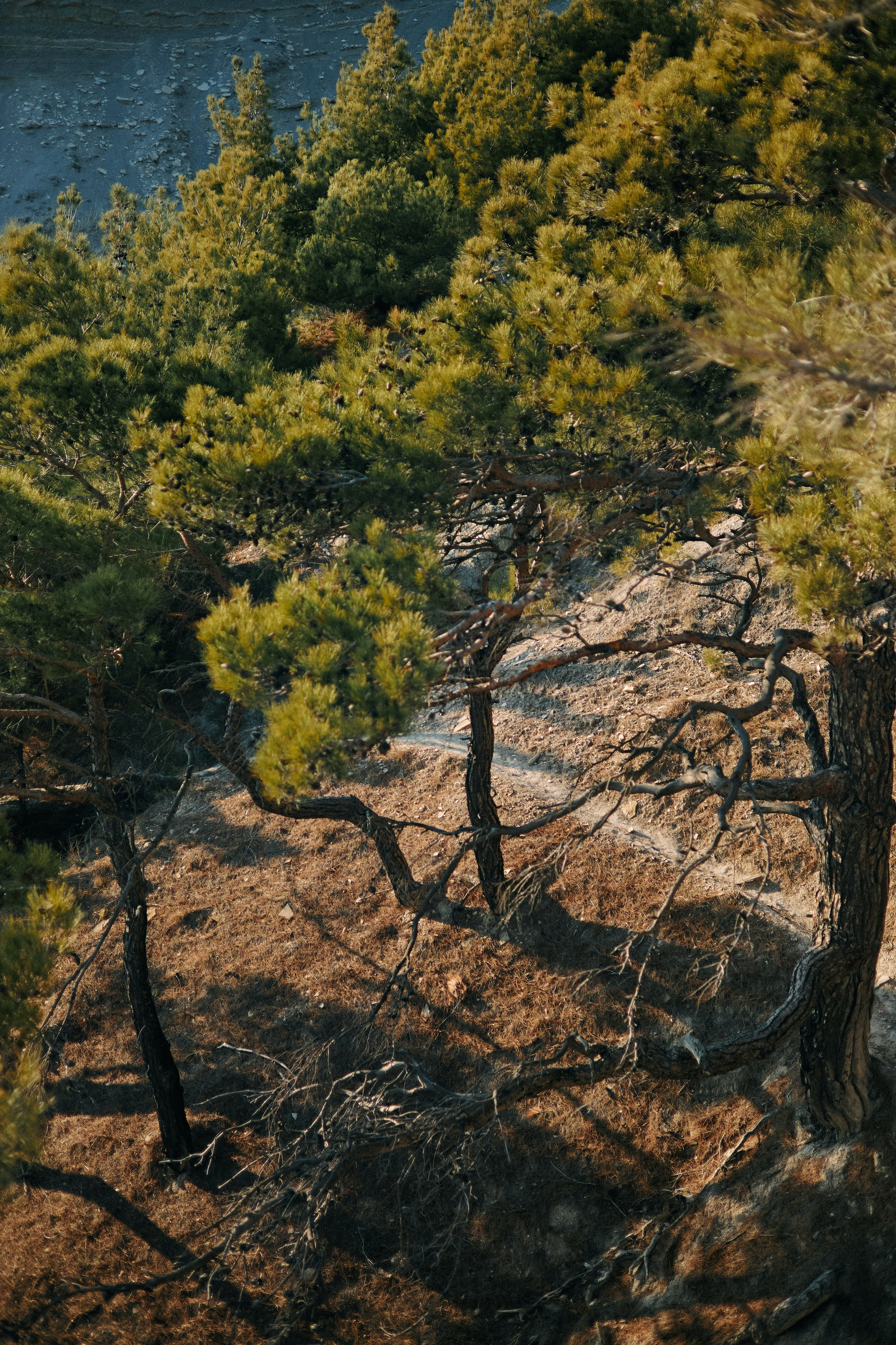 Юг России. Профессиональный Фотограф во Владимире, в Москве и в Суздале — Полина Романычева