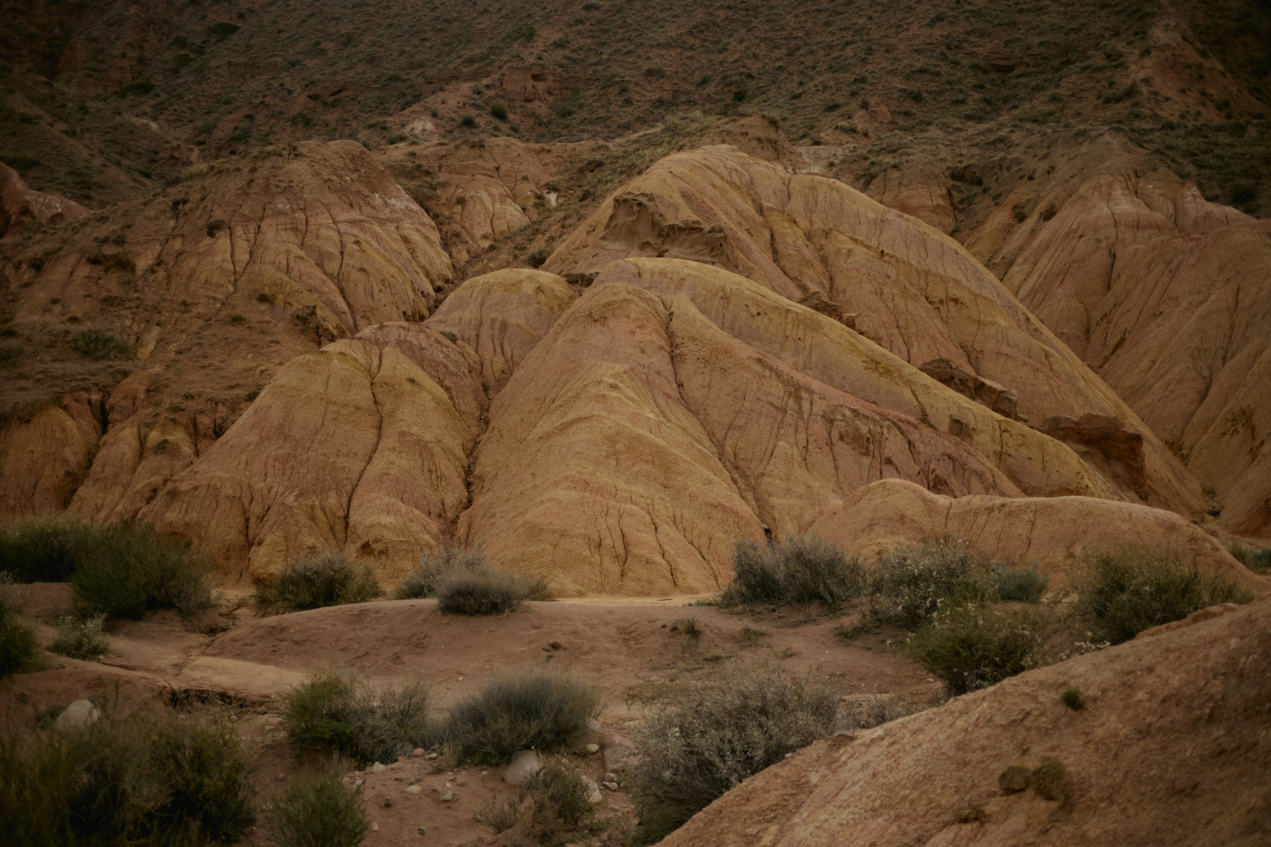 Кыргызтан. Профессиональный Фотограф во Владимире, в Москве и в Суздале — Полина Романычева