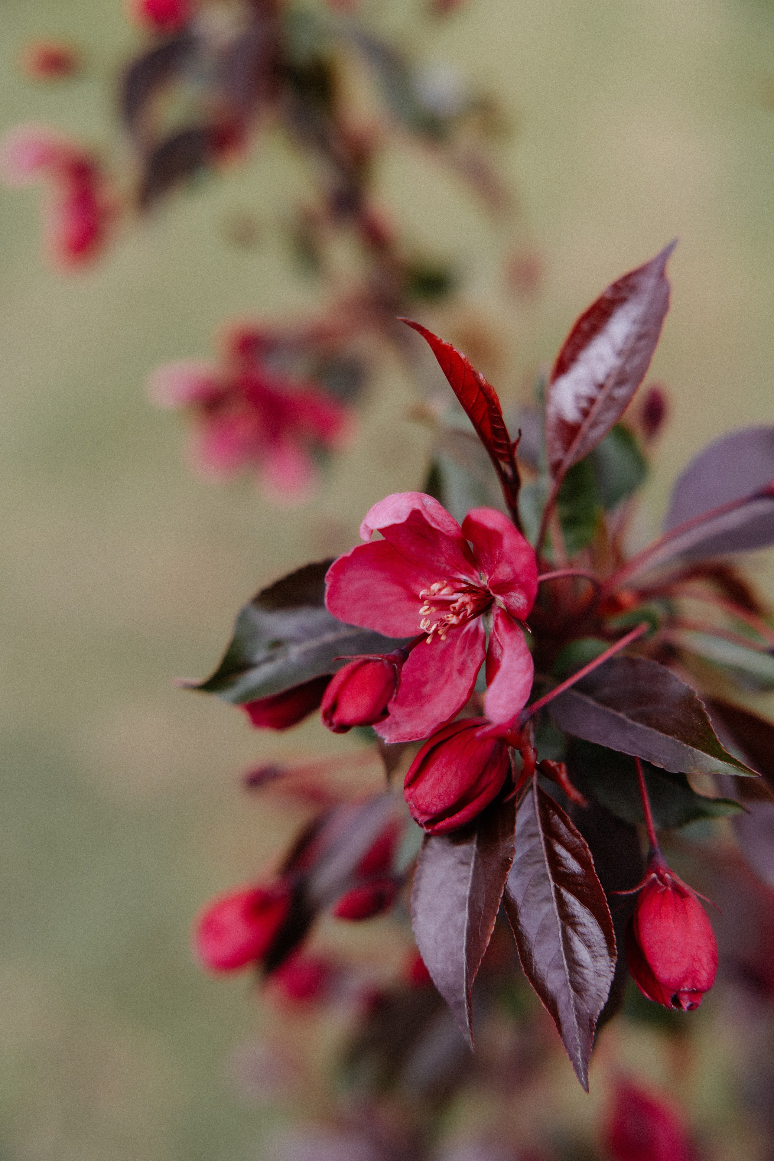 Камила и Сергей. Свадьба. Алена Бадамшина — свадебный фотограф Воронеж / Москва