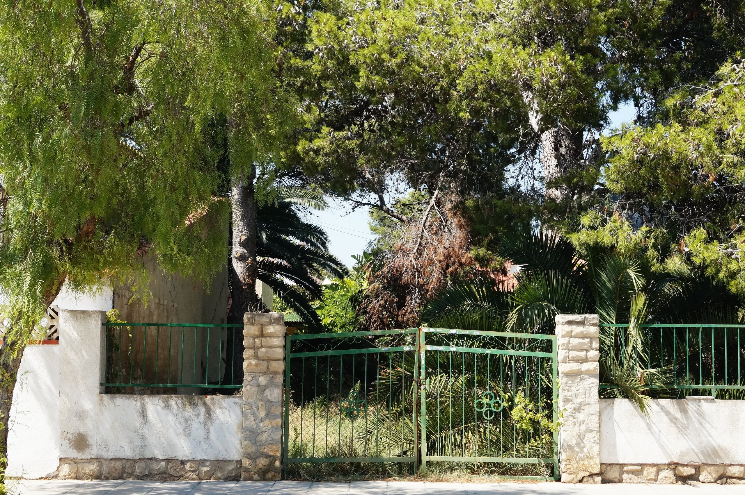 Автор: Анастасия Лапшина