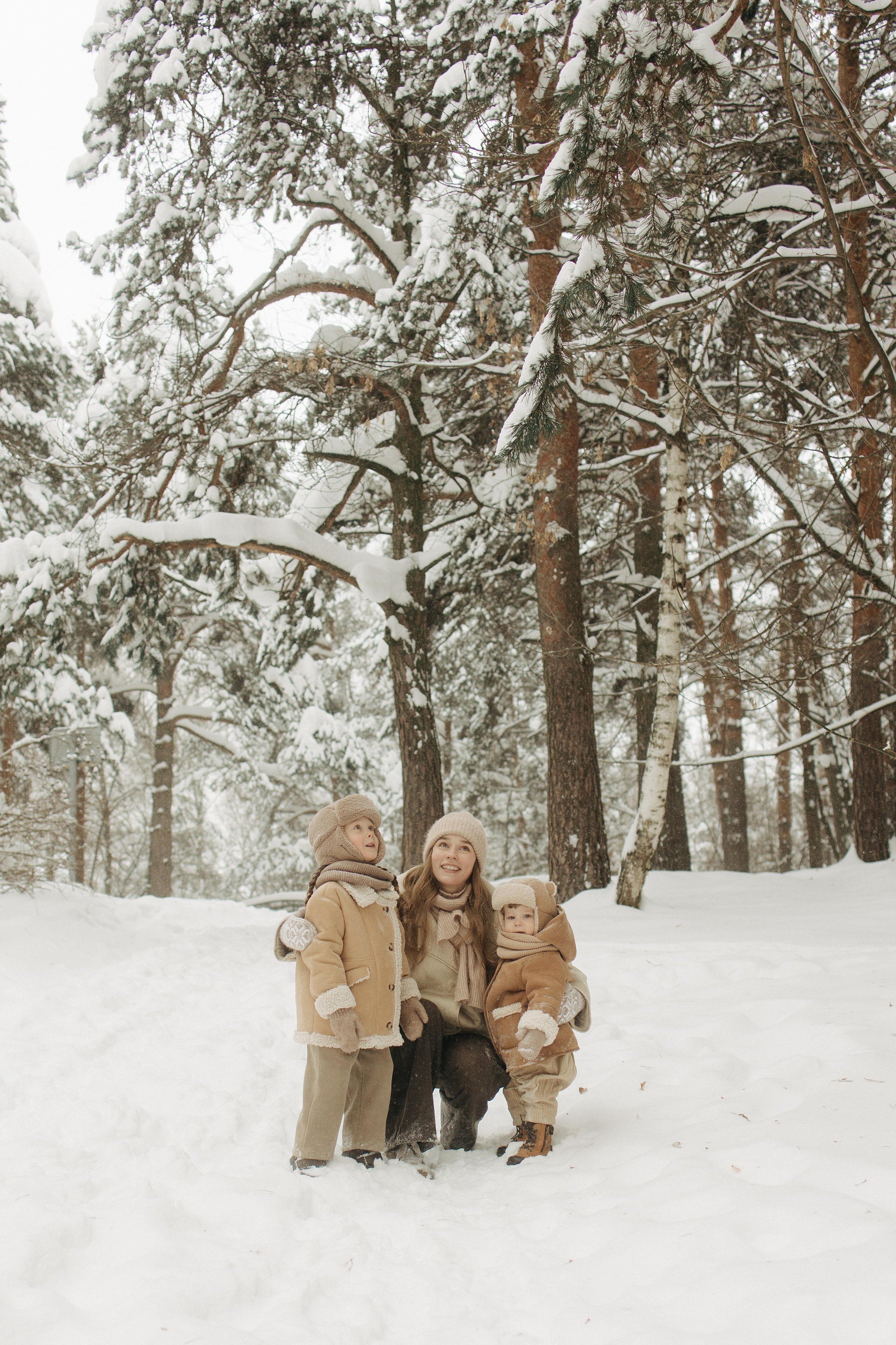 Снежный лес. Фотограф Анастасия Бобылева, Москва и Московская область