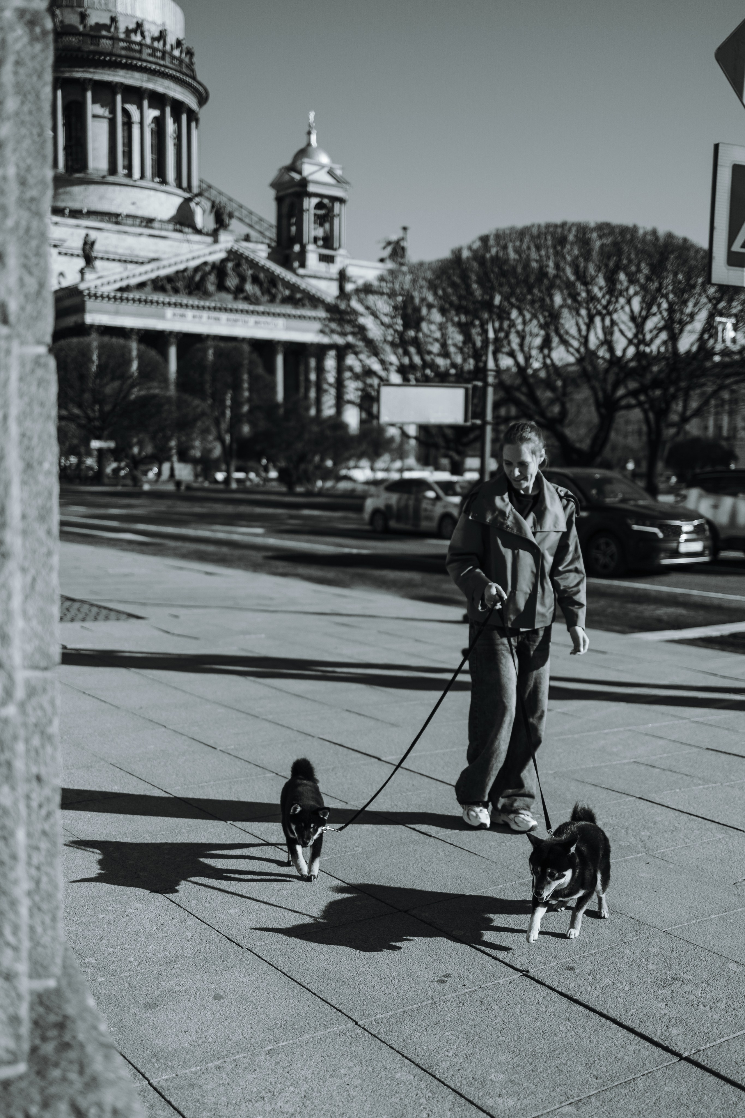 Даша и ее девочки. Фотограф — Анималист | Санкт-Петербург