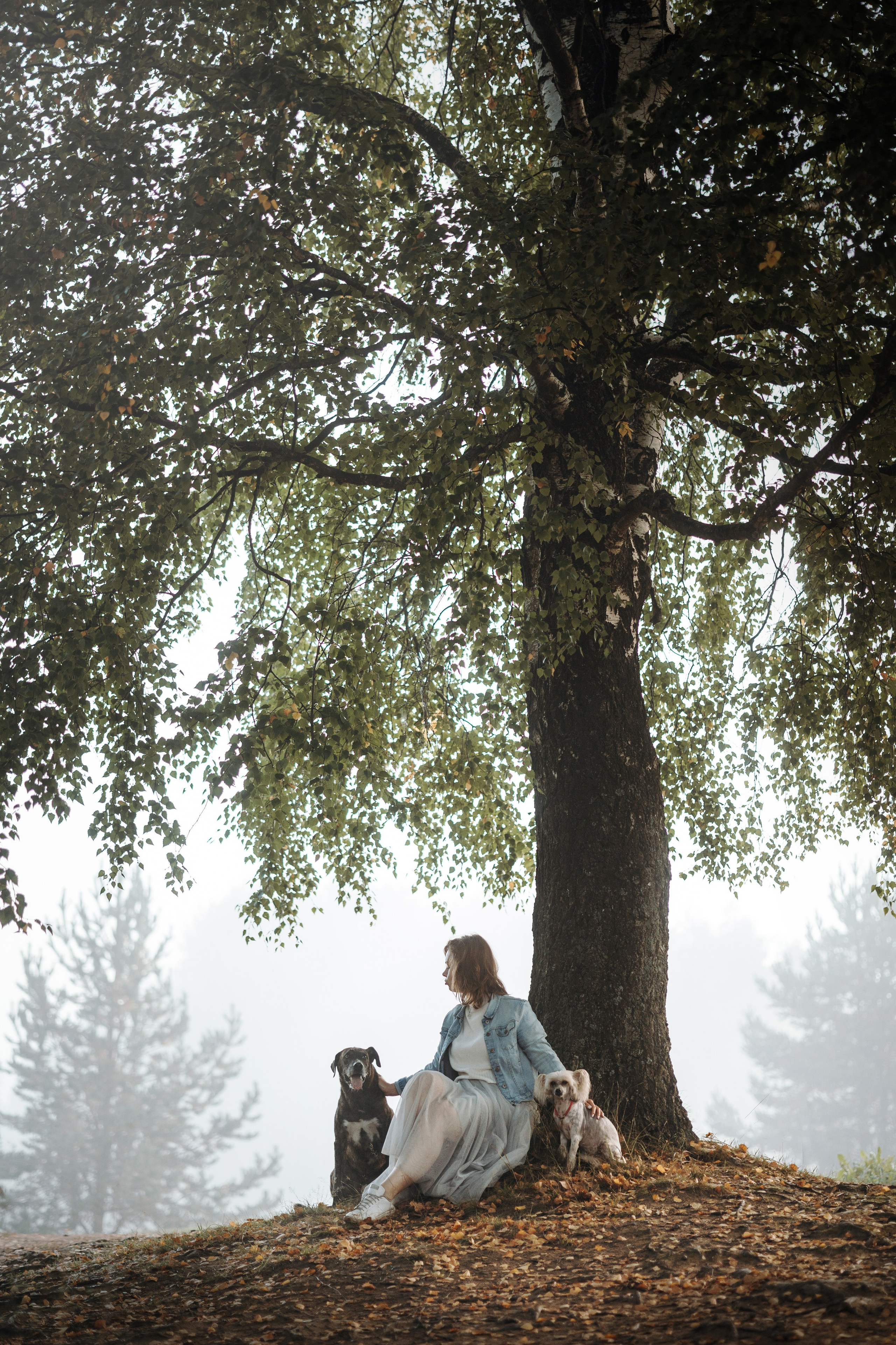 Любовь и ее хвостики. Фотограф — Анималист | Санкт-Петербург