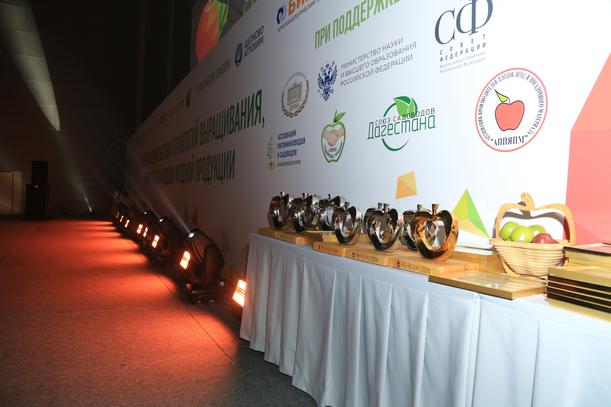 Светский ужин Про Яблоко 2024. Репортажный и свадебный фотограф Пятигорск и КМВ