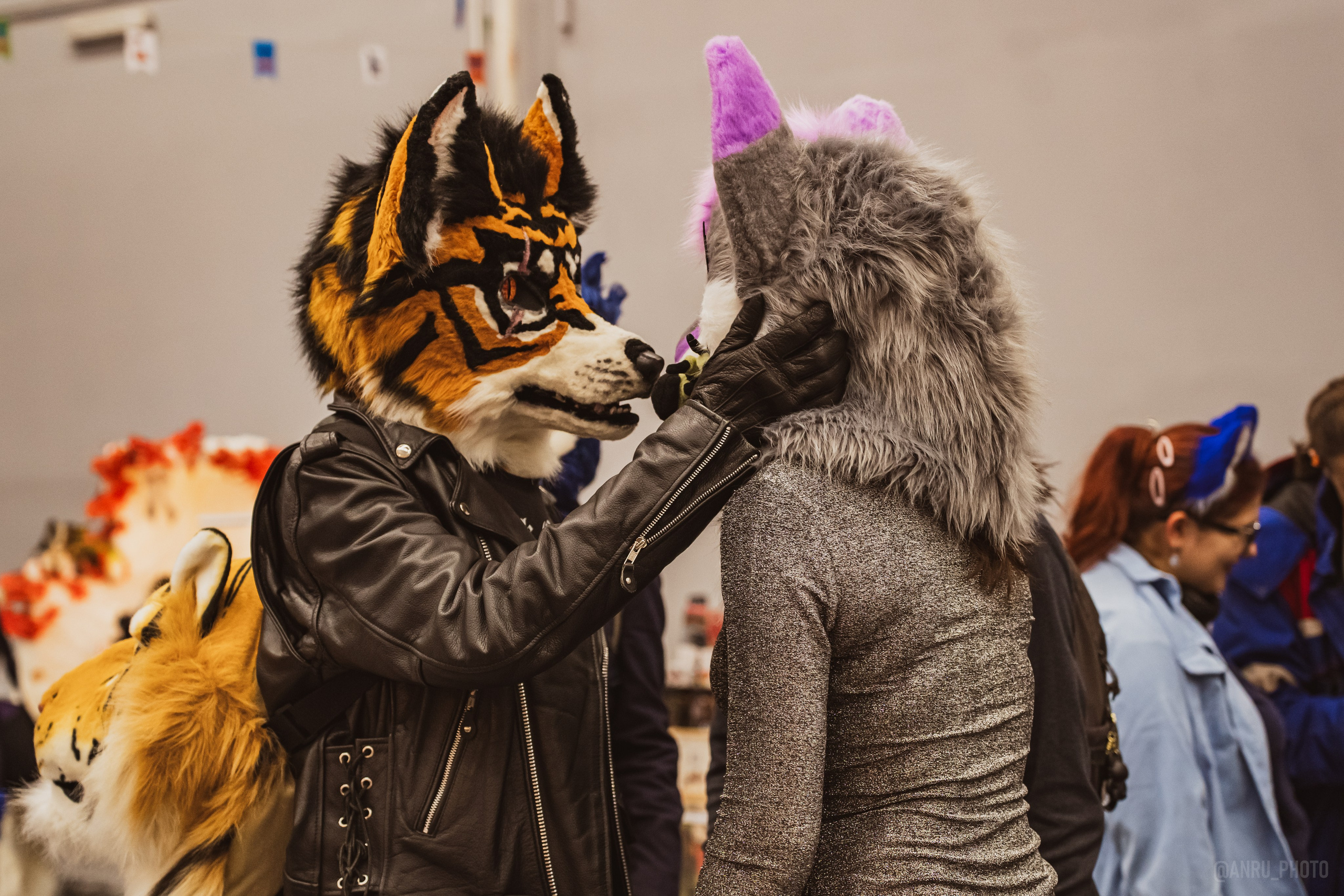 Fox Family fest. Репортажный фотограф Анастасия Рубцова