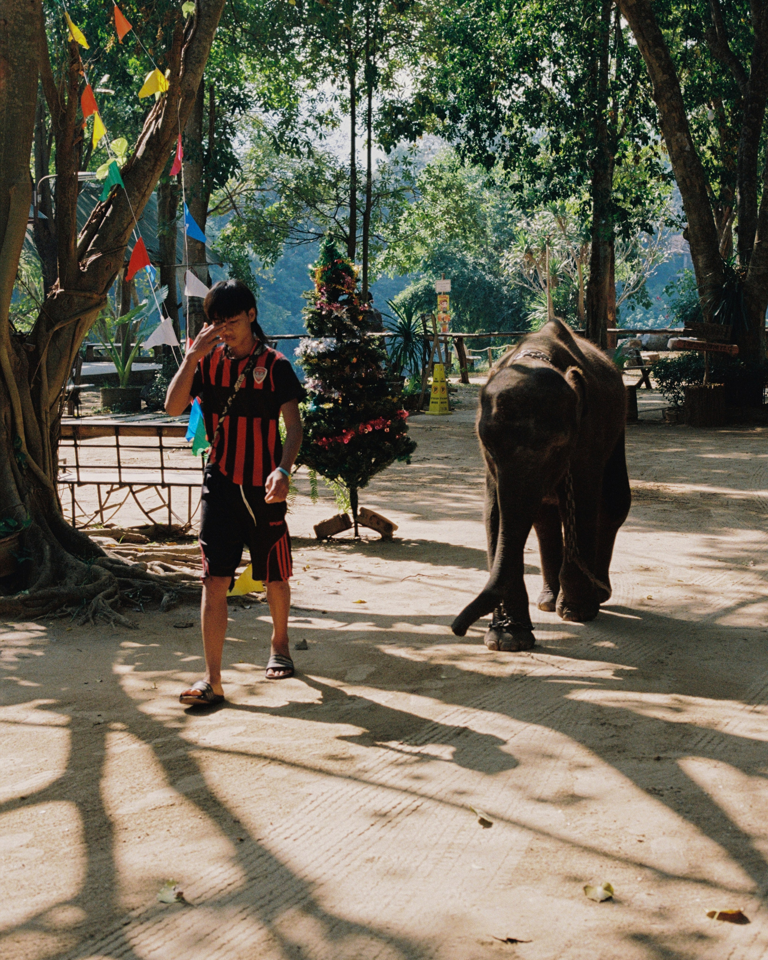 Thailand. Kirill Shashkov