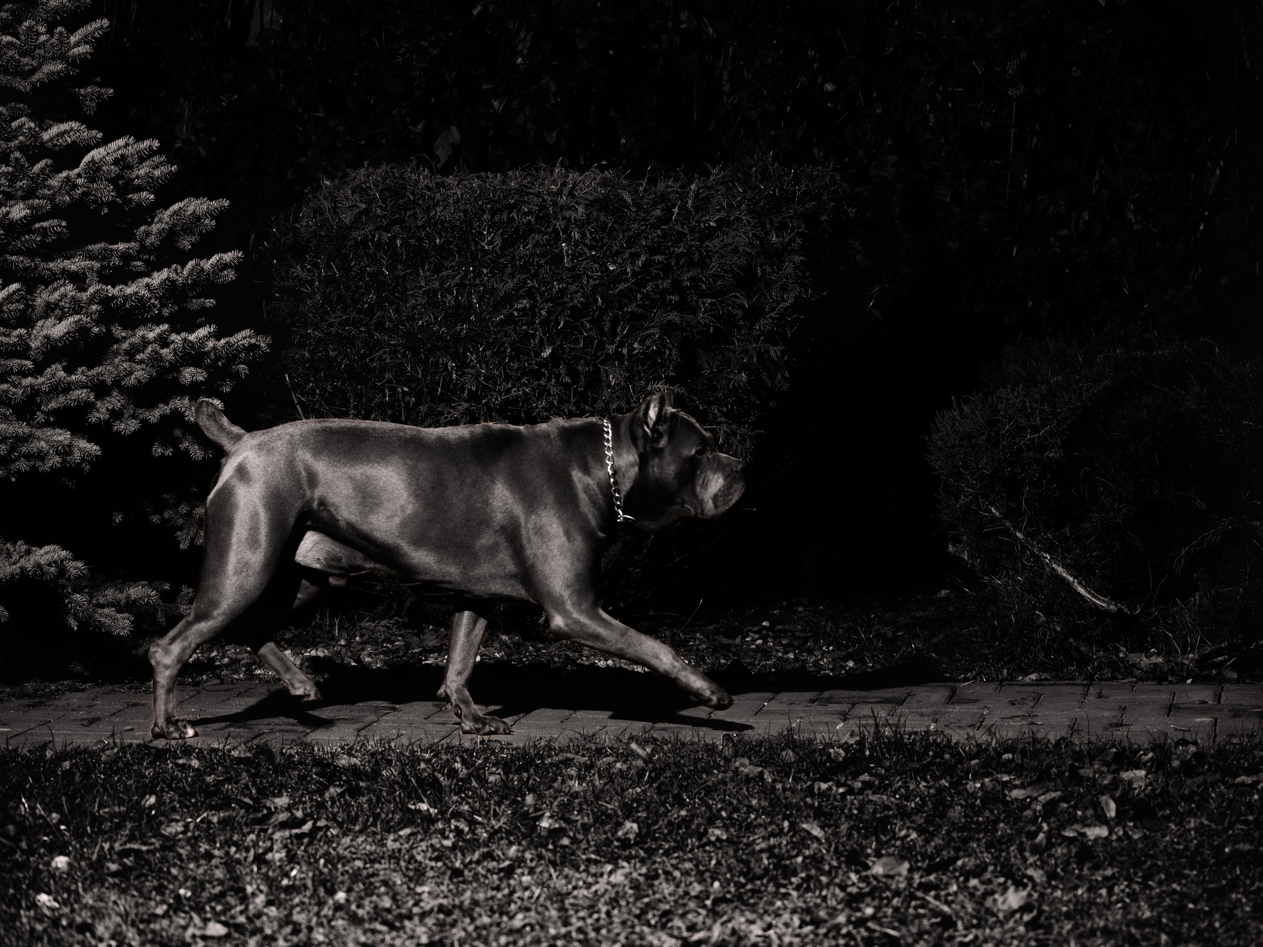 Актер Михаил Горевой. Фотограф Михаил Стенин