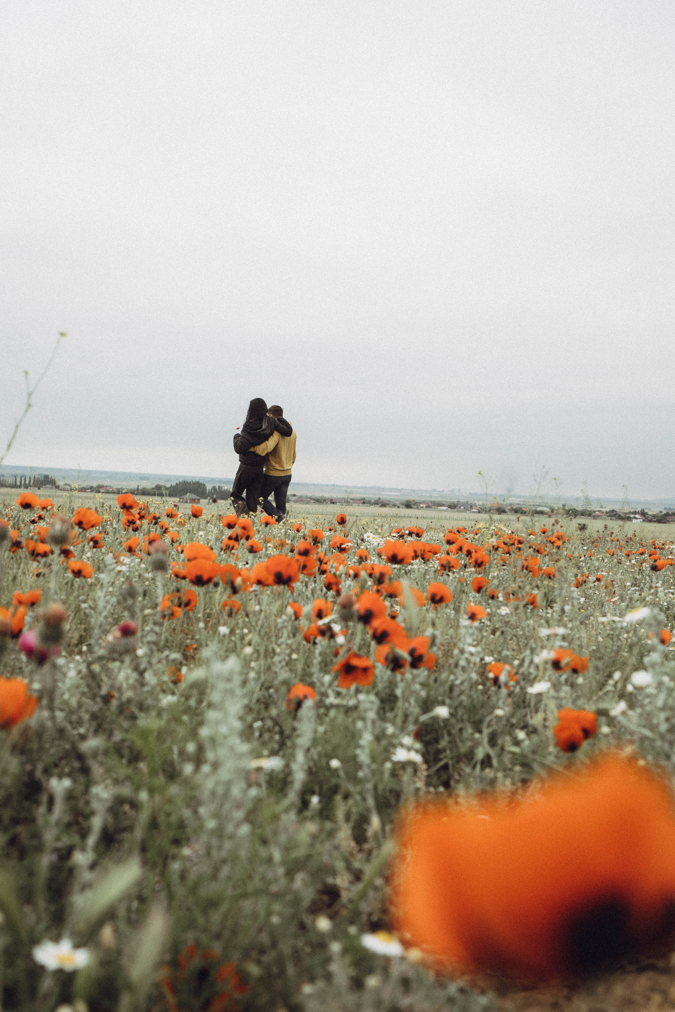 Любовь в маковом поле. Профессиональный фотограф, Санкт-Петербург — Виктория Богомолова