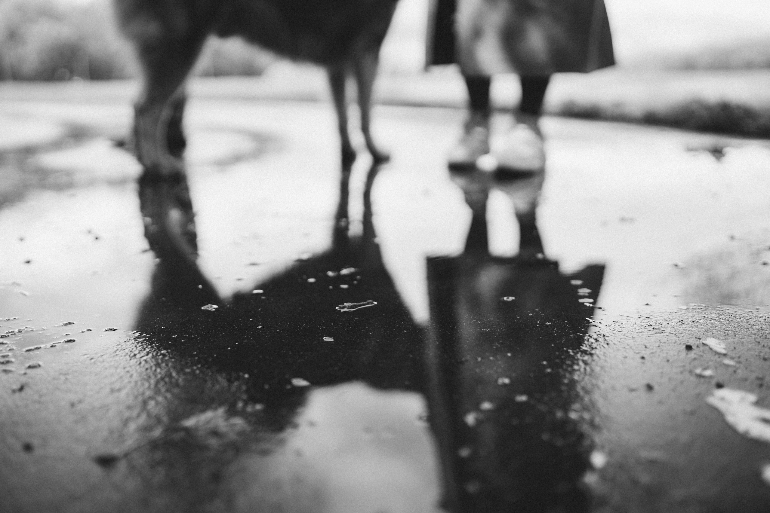 Света и Лёня. Дмитриева Светлана женский и семейный фотограф Рига, Москва, Геленджик