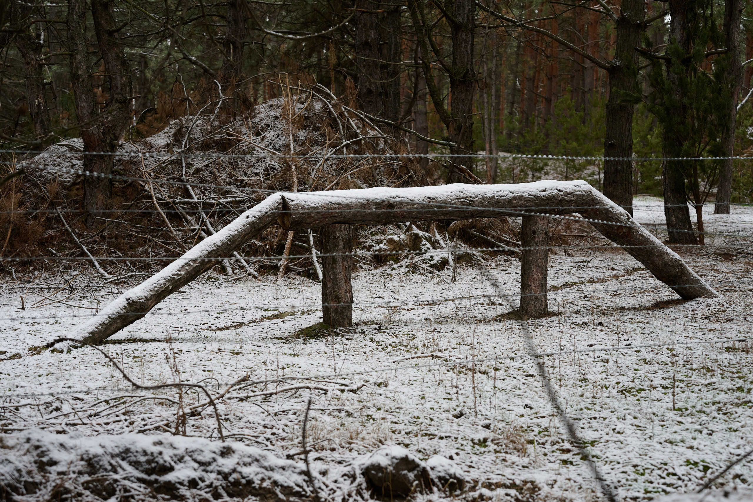 Фото для презентации фотопроекта «Территории». Фотопроект «Территории»