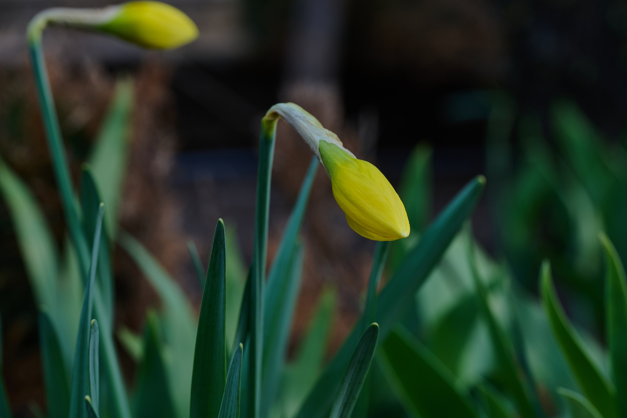 Мелитополь. Фотопроект «Территории»