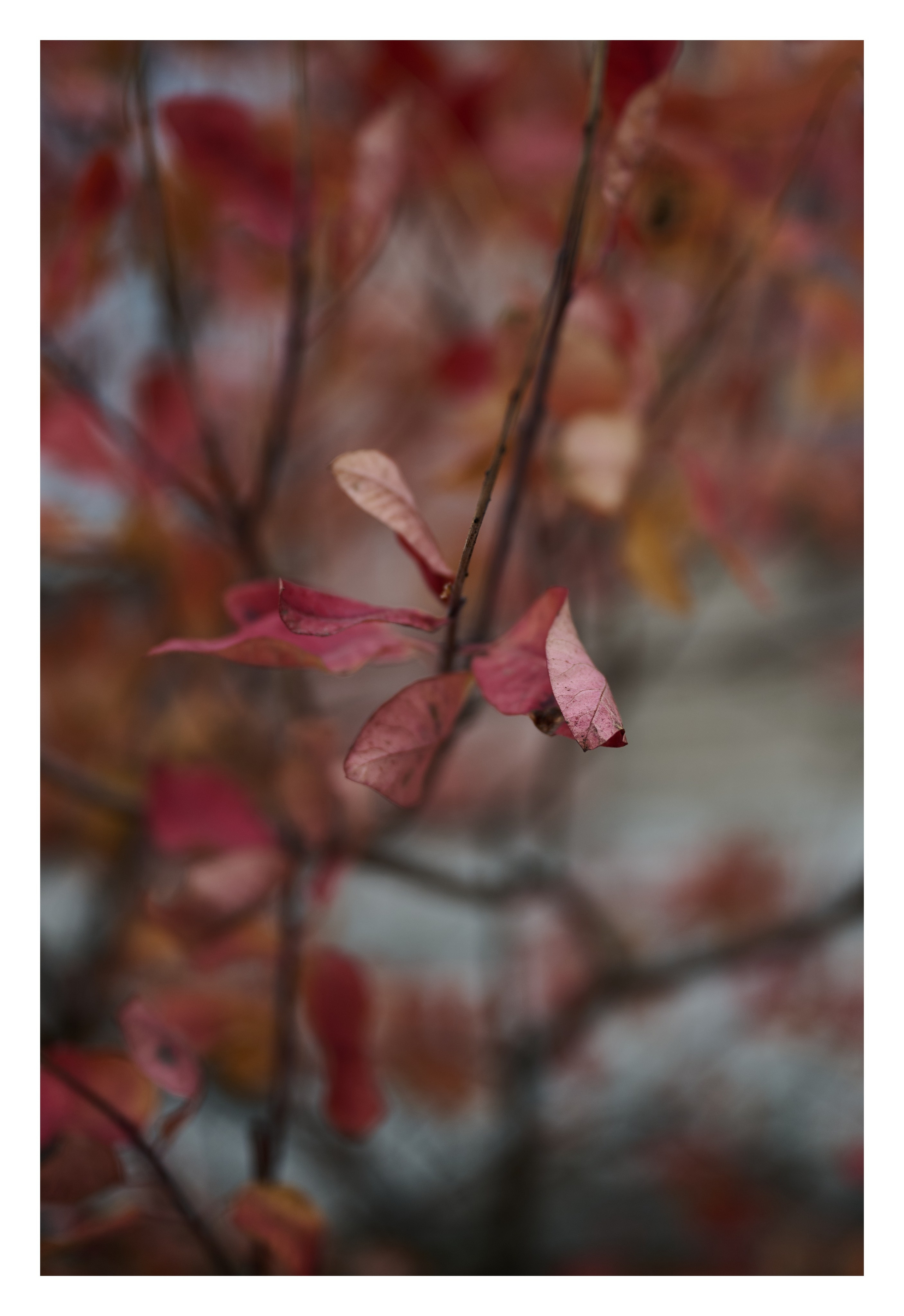 Фотопринты А3. Фотопроект «Территории»