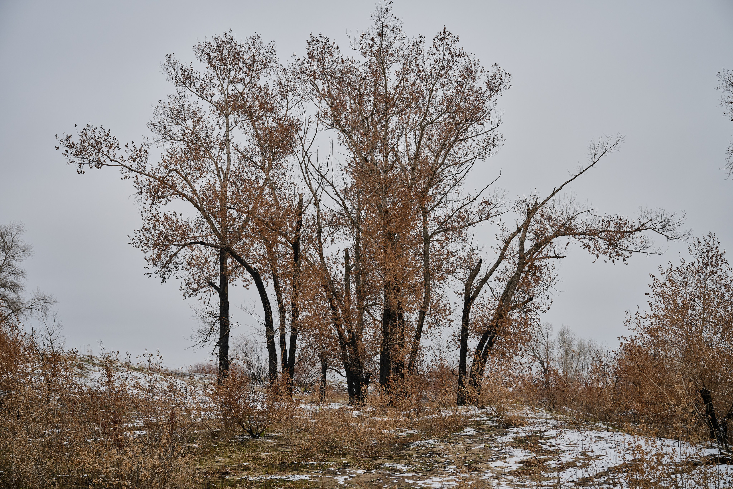 Северодонецк. Луганская область. Фотопроект «Территории»