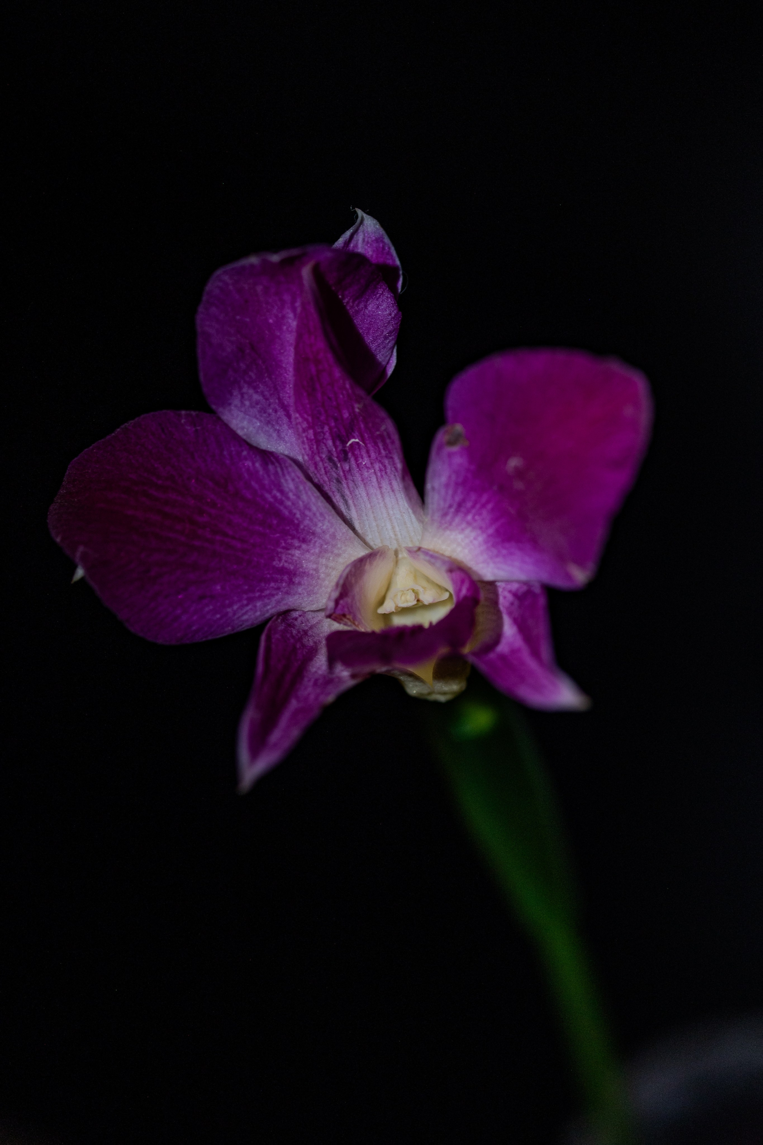 Для души. Фотограф Ольга Гирусова «Пантерочка» Москва