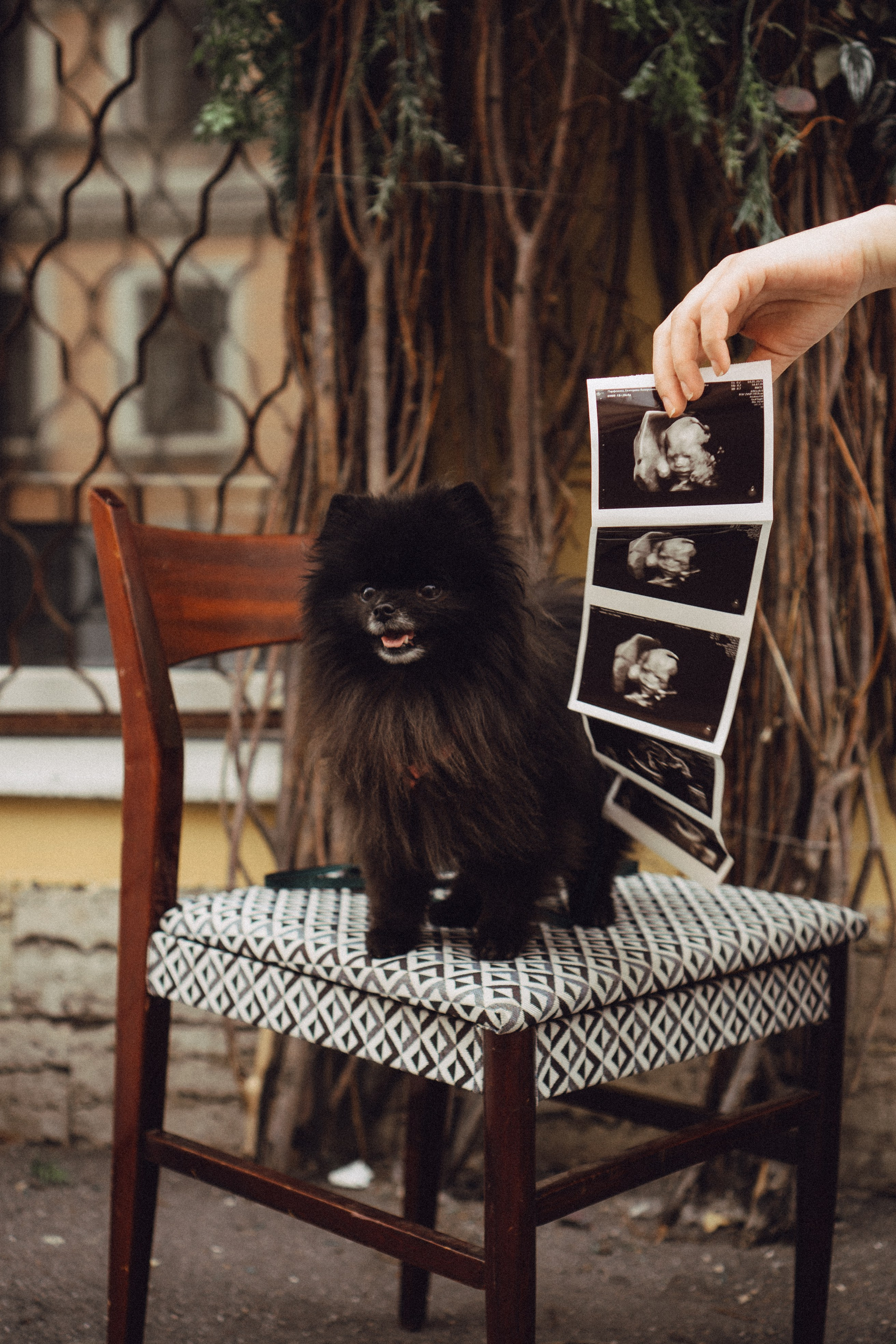 Беременность (только часть фото по желанию клиентов могу показать)). Профессиональный фотограф, Санкт-Петербург — Виктория Богомолова