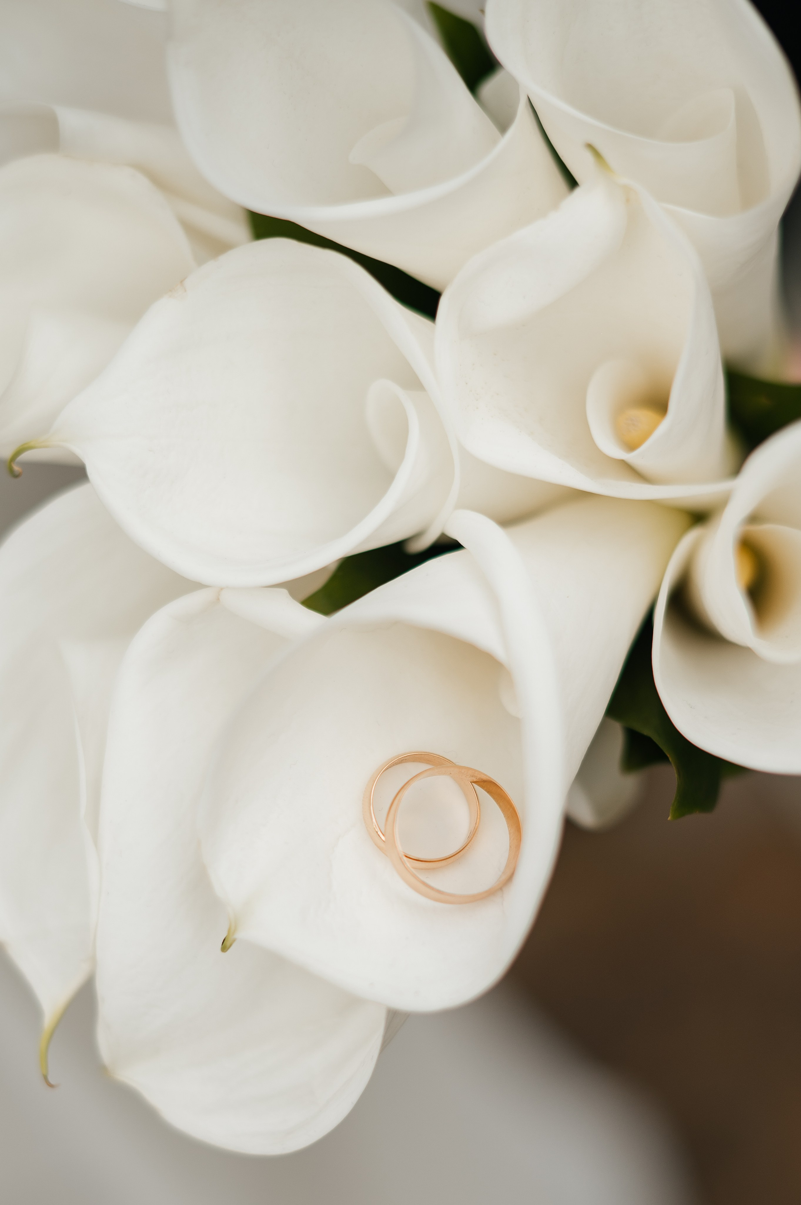 Владимир & Диана. Свадебный и семейный фотограф в Краснодаре Алина Мельник