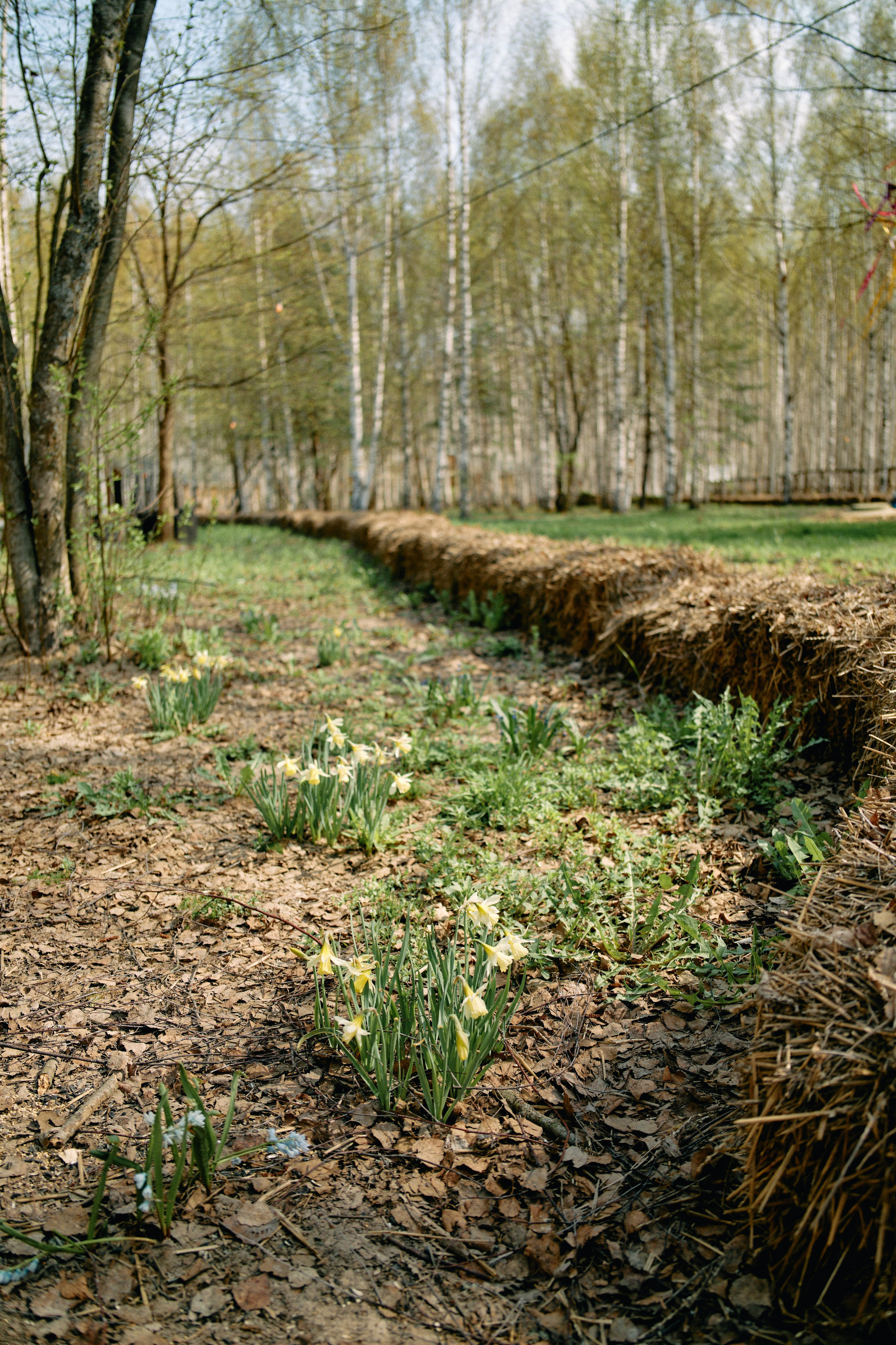 Бутик-отель Поле летом. Профессиональный Фотограф во Владимире, в Москве и в Суздале — Полина Романычева