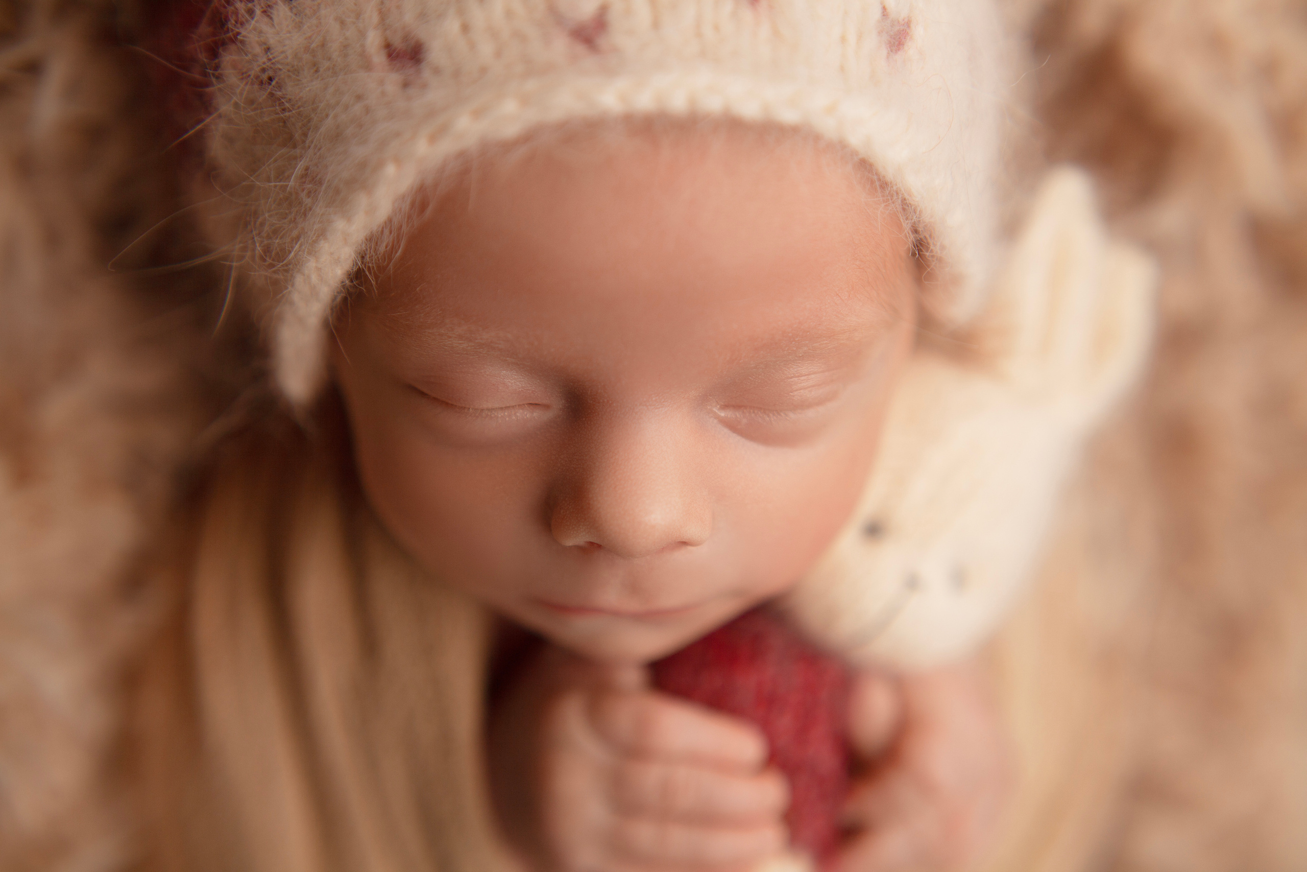 Москва и Московская область фотограф новорождённых. Фотограф новорожденных в Москве и области Анастасия Холманская